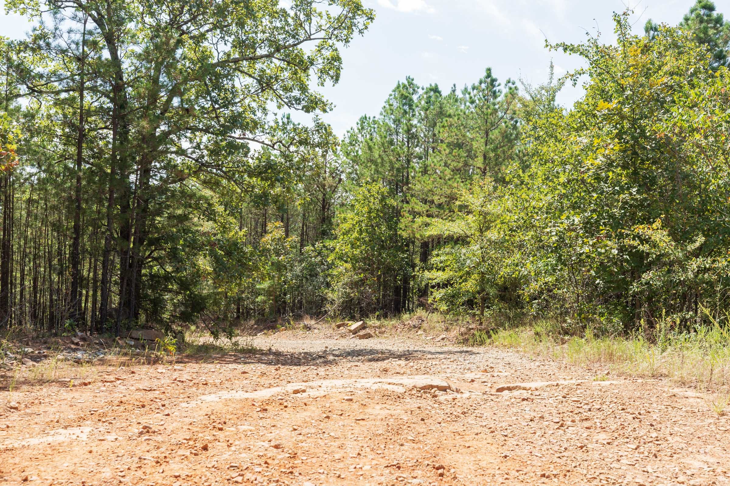Stone Bridge Phase V Tract 380 photo 6