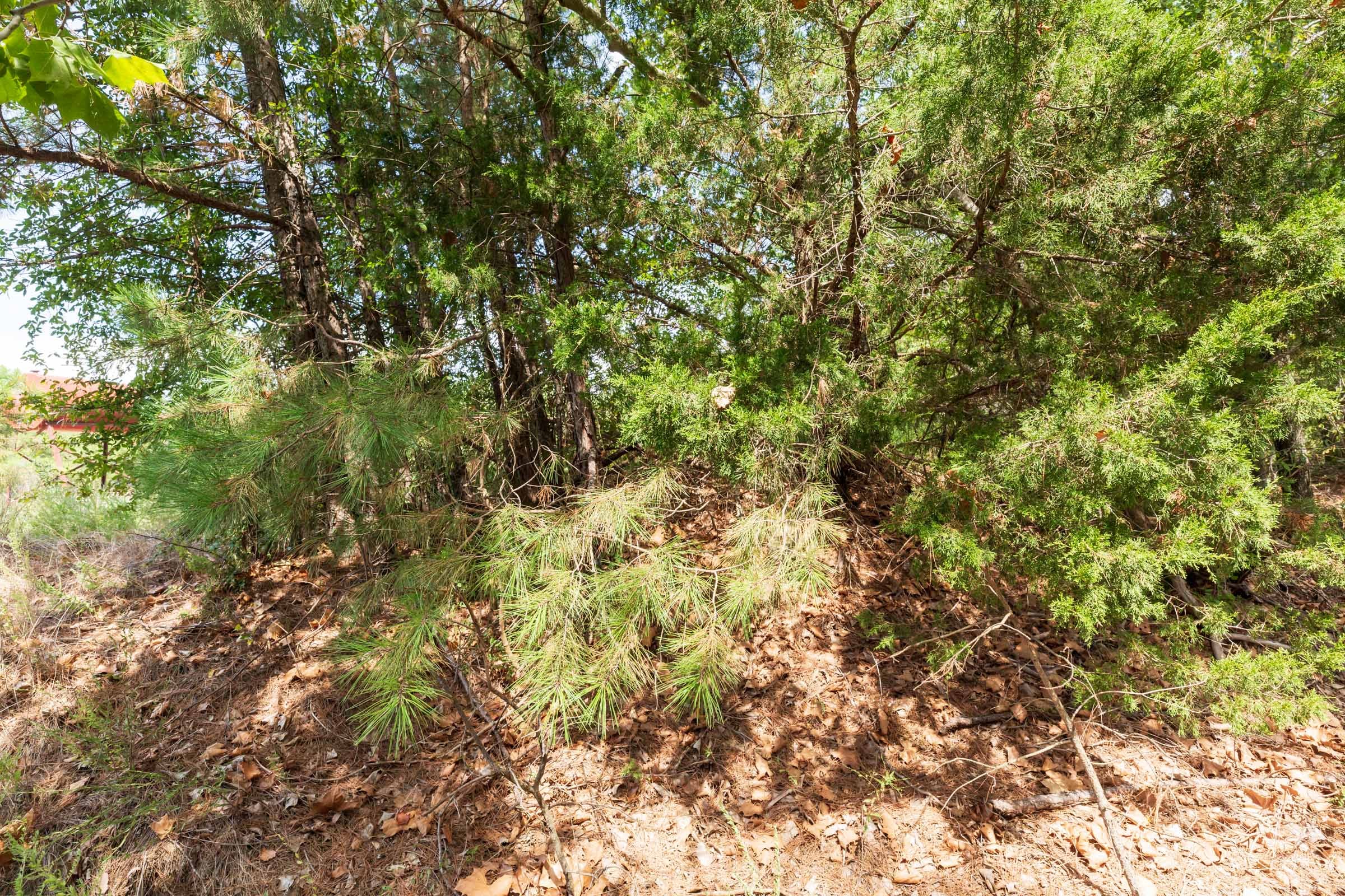 Stone Bridge Phase V Tract 380 photo 11