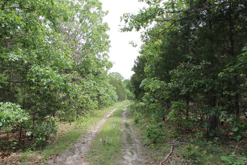 Cedar Ridge Ranch Tract 15 photo 1