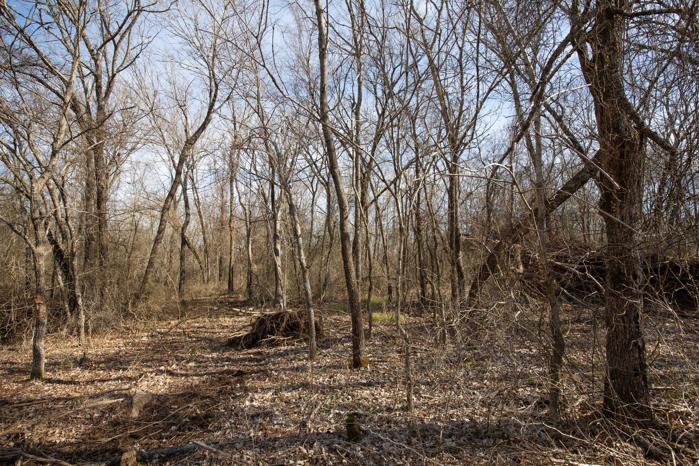 Painted Horse Tract 34 photo 2