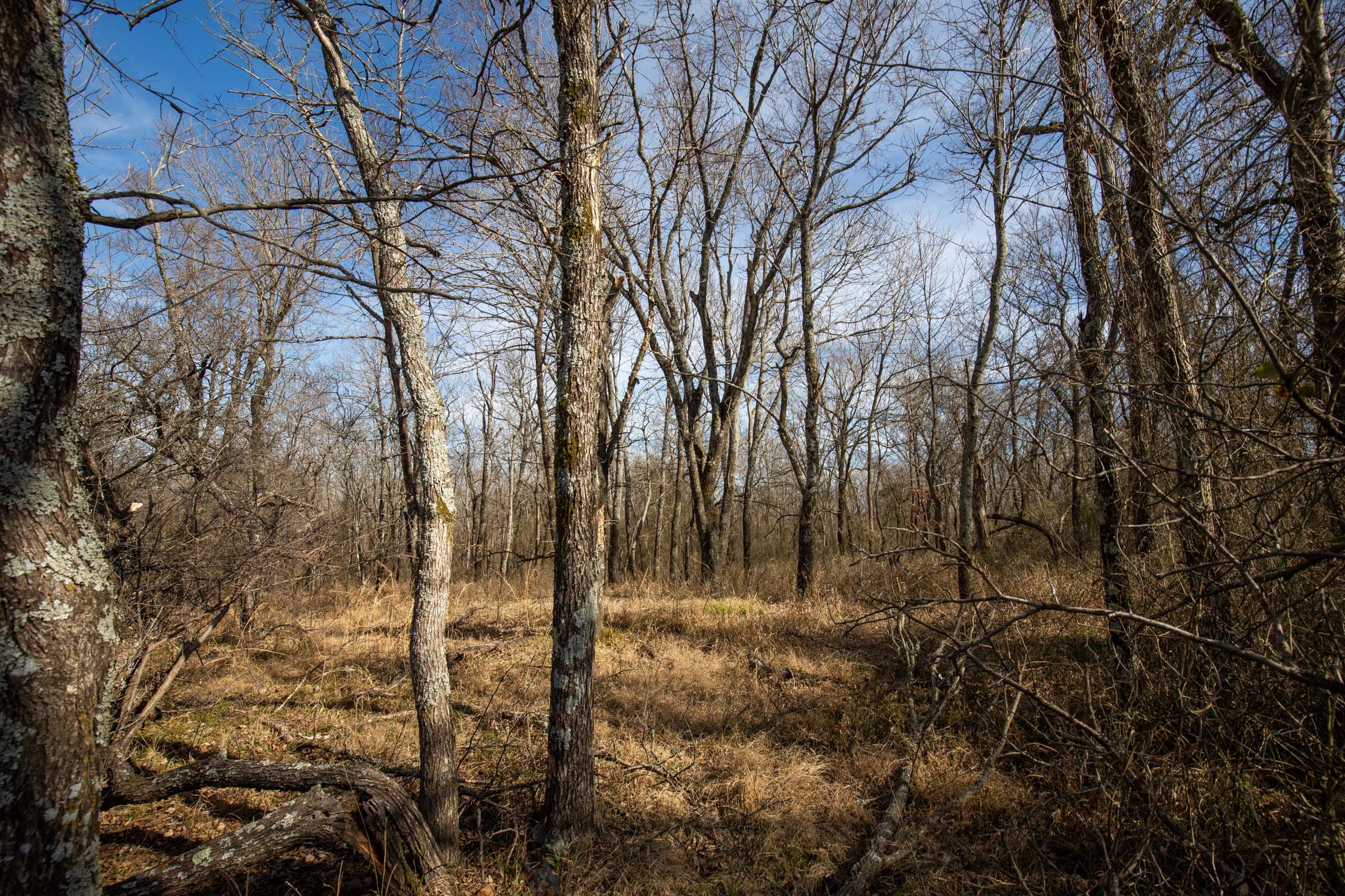 Painted Horse Tract 34 photo 6