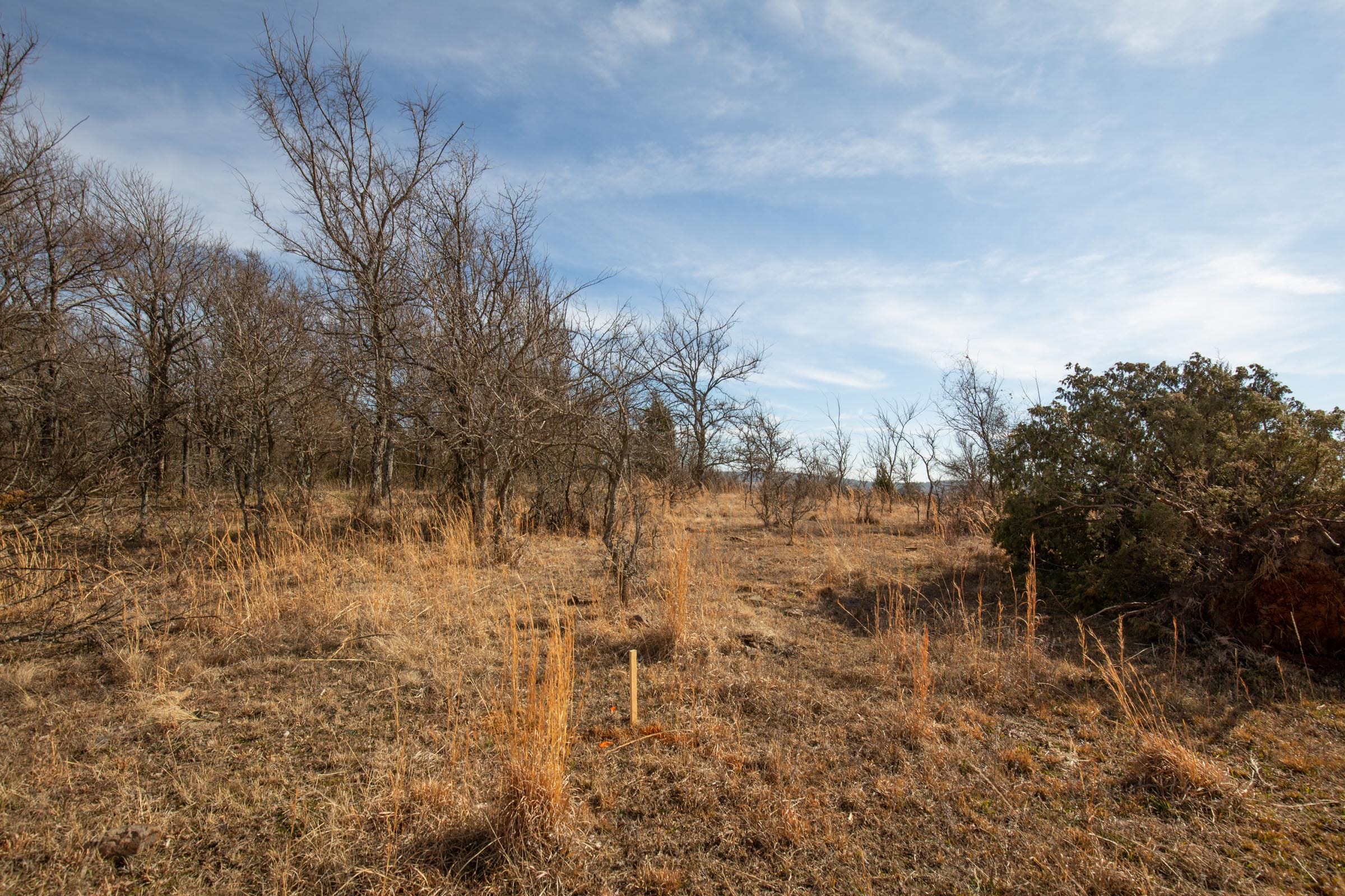 Painted Horse Tract 34 photo 3