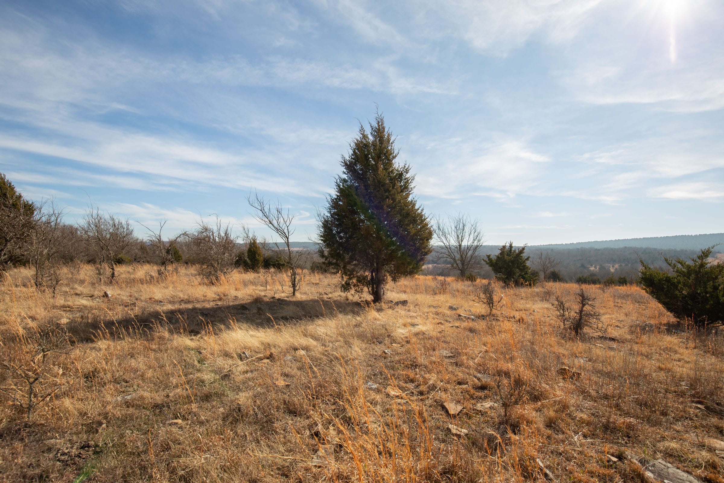 Painted Horse Tract 34 photo 5