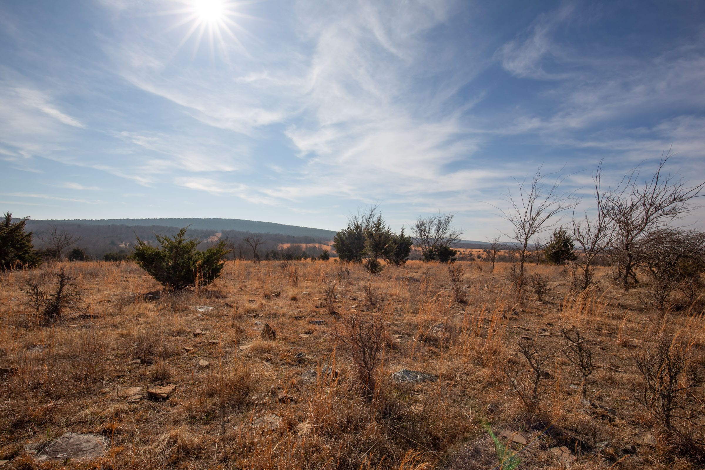 Painted Horse Tract 34 photo 7