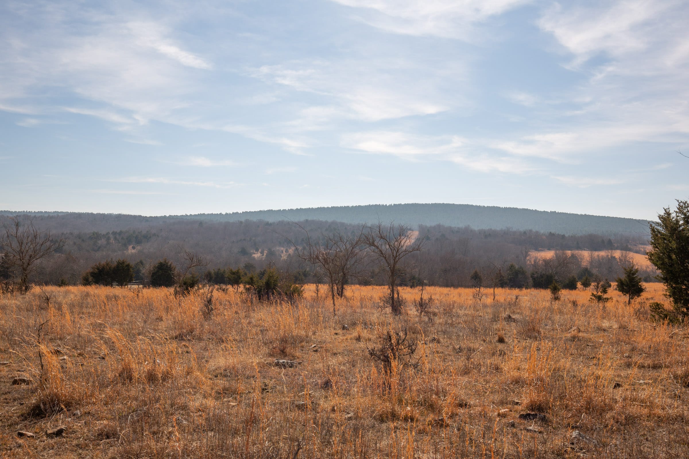 Painted Horse Tract 34 photo 9
