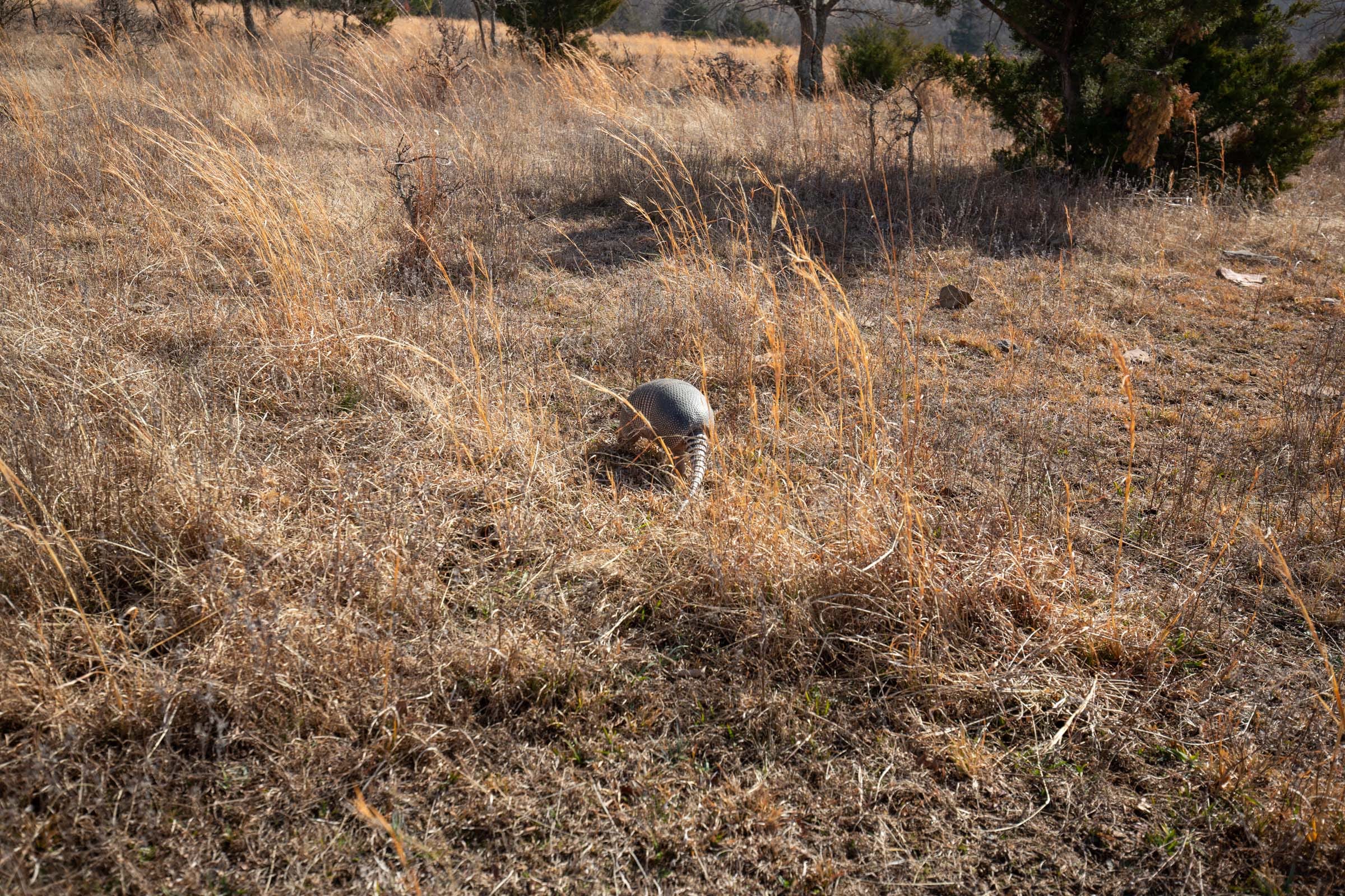 Painted Horse Tract 34 photo 11