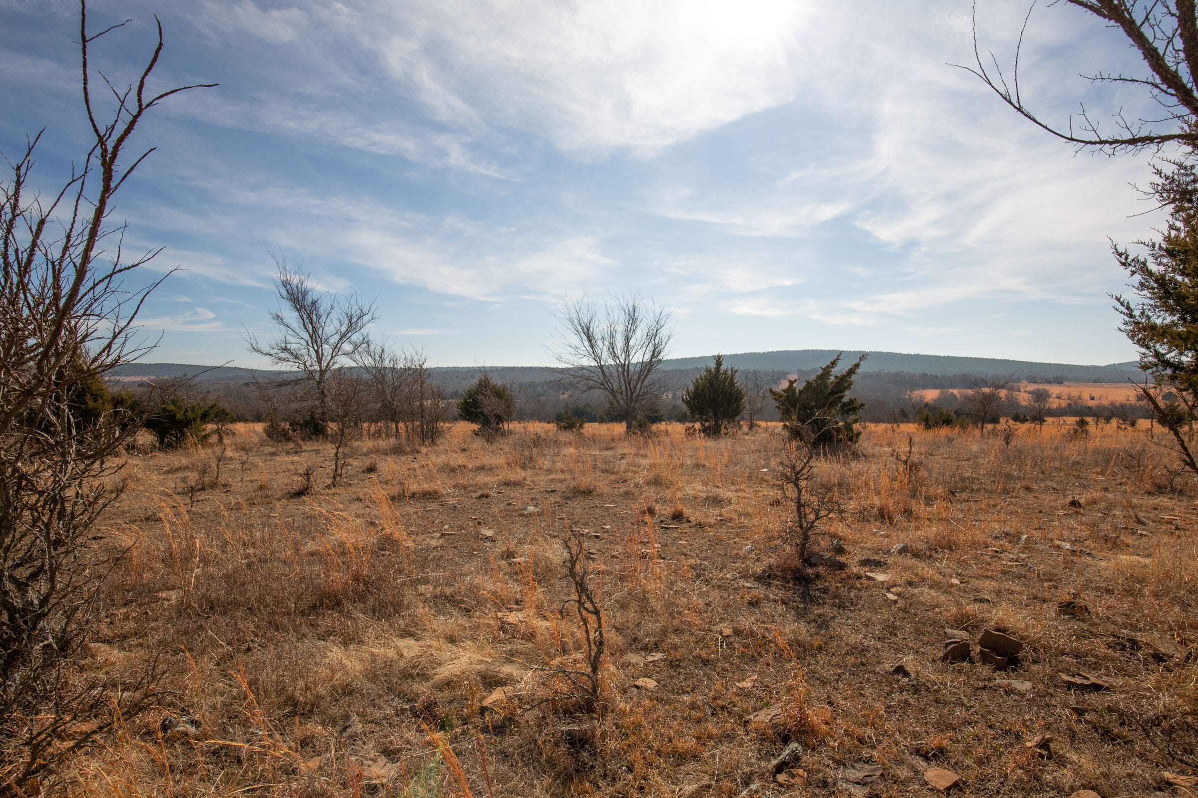 Painted Horse Tract 34 photo 12