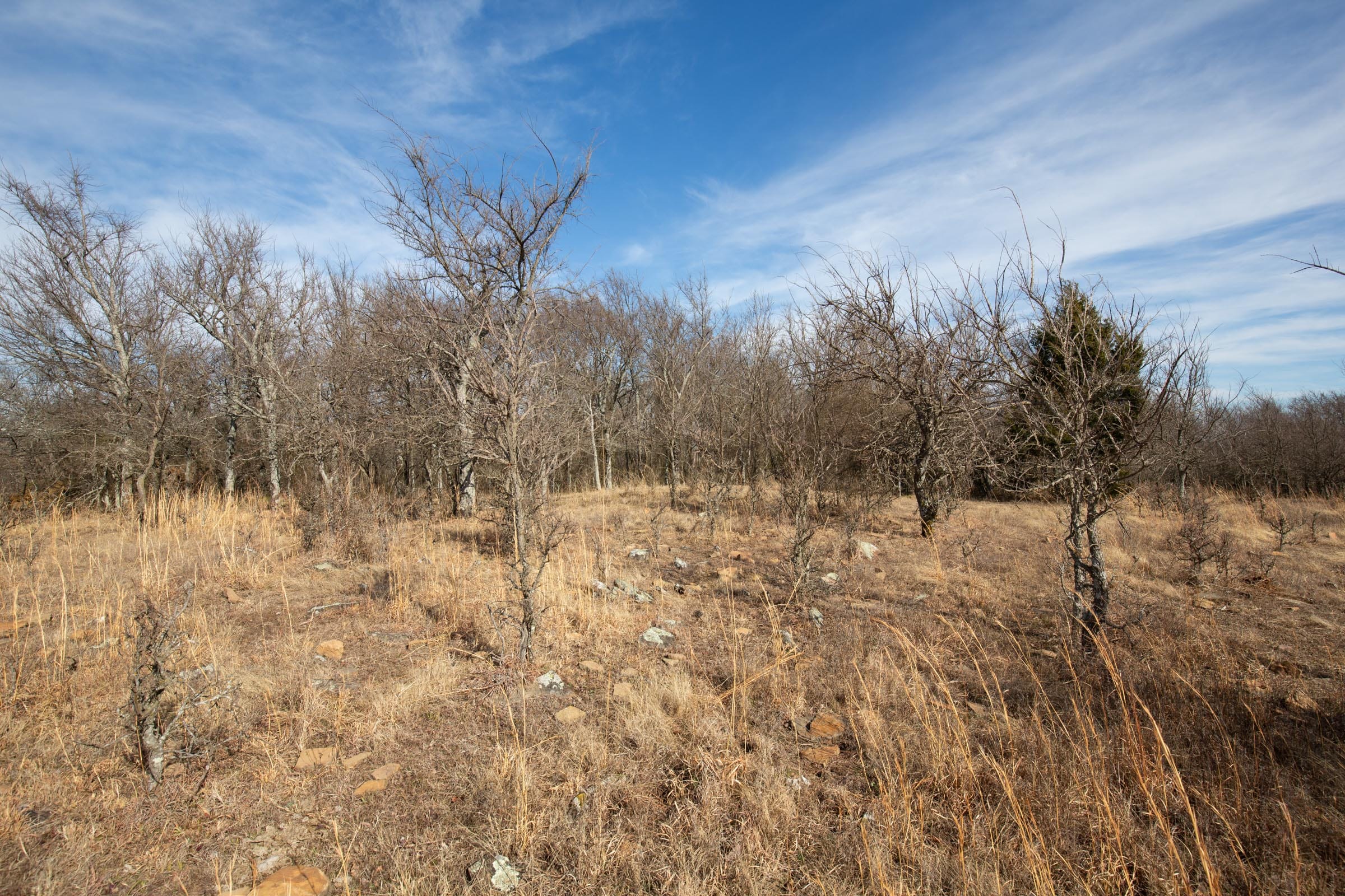 Painted Horse Tract 34 photo 14
