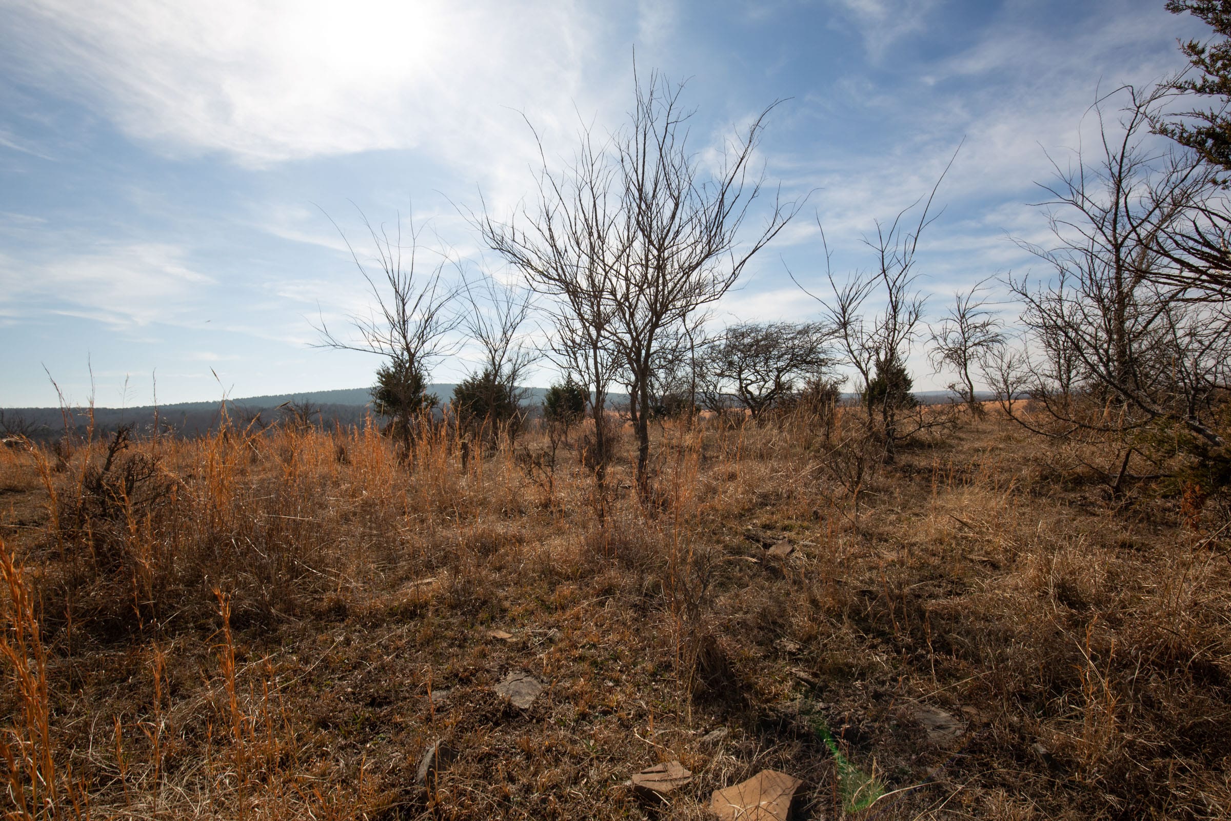 Painted Horse Tract 34 photo 13