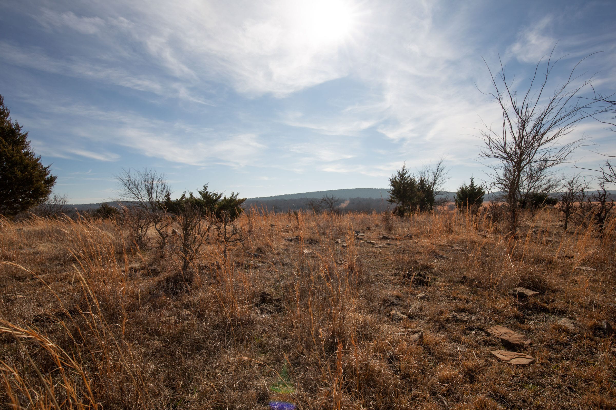 Painted Horse Tract 34 photo 15