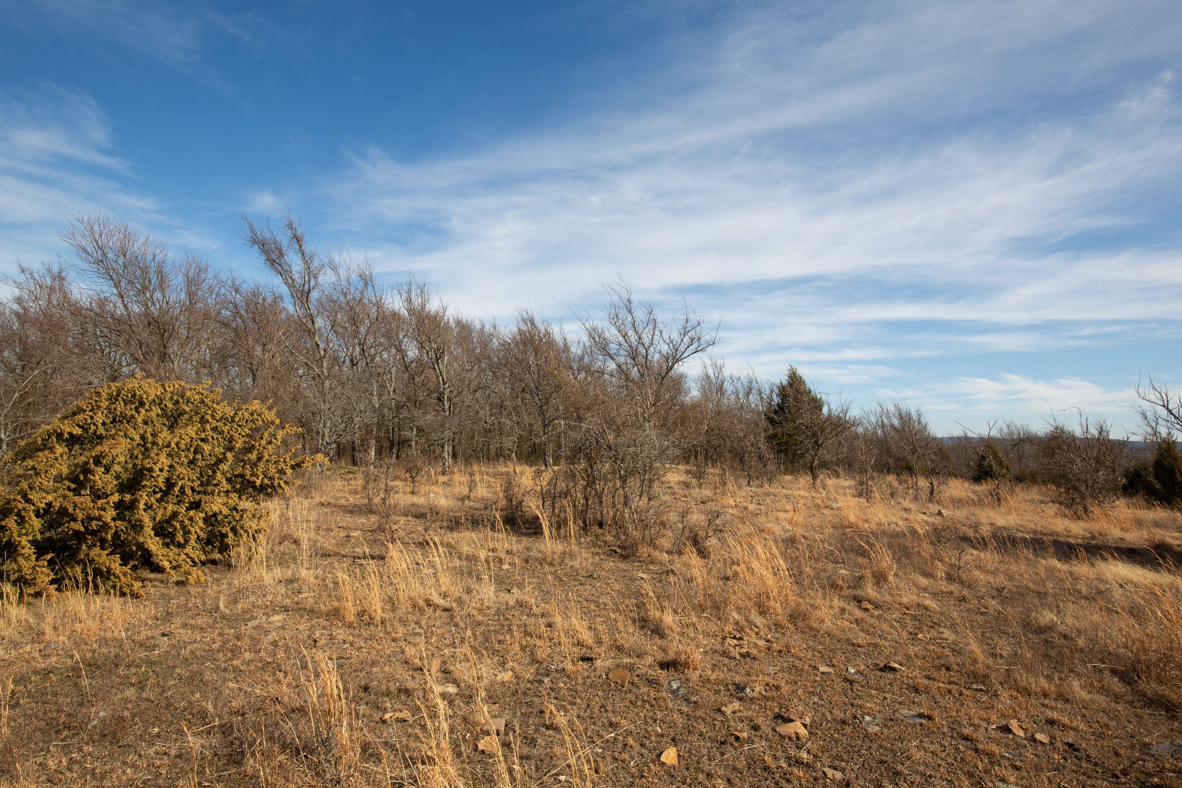 Painted Horse Tract 34 photo 16
