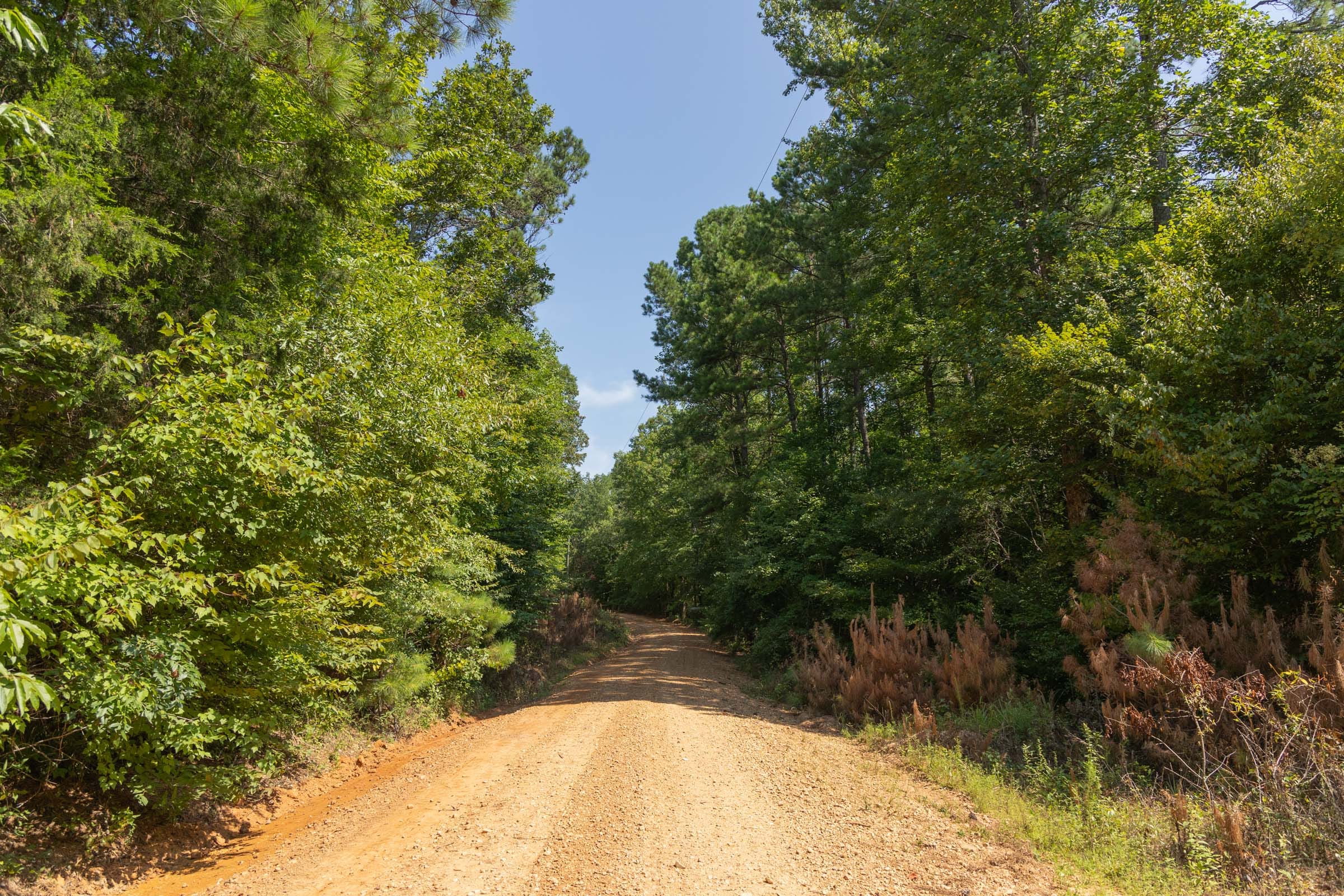 Olive Hill Tract 11 photo 6