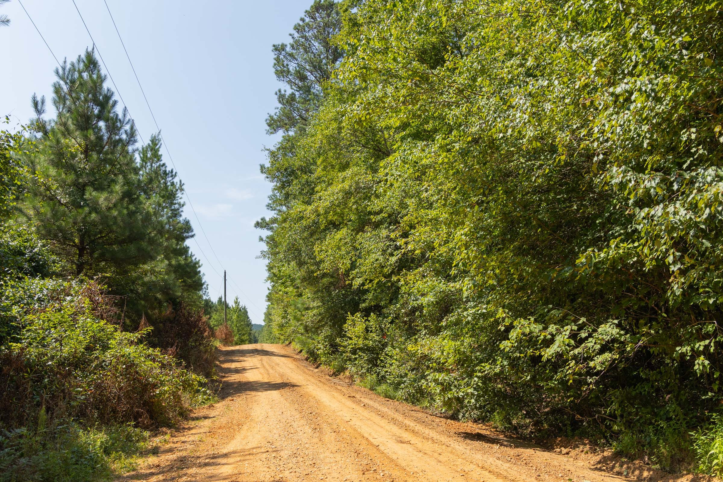 Olive Hill Tract 11 photo 3