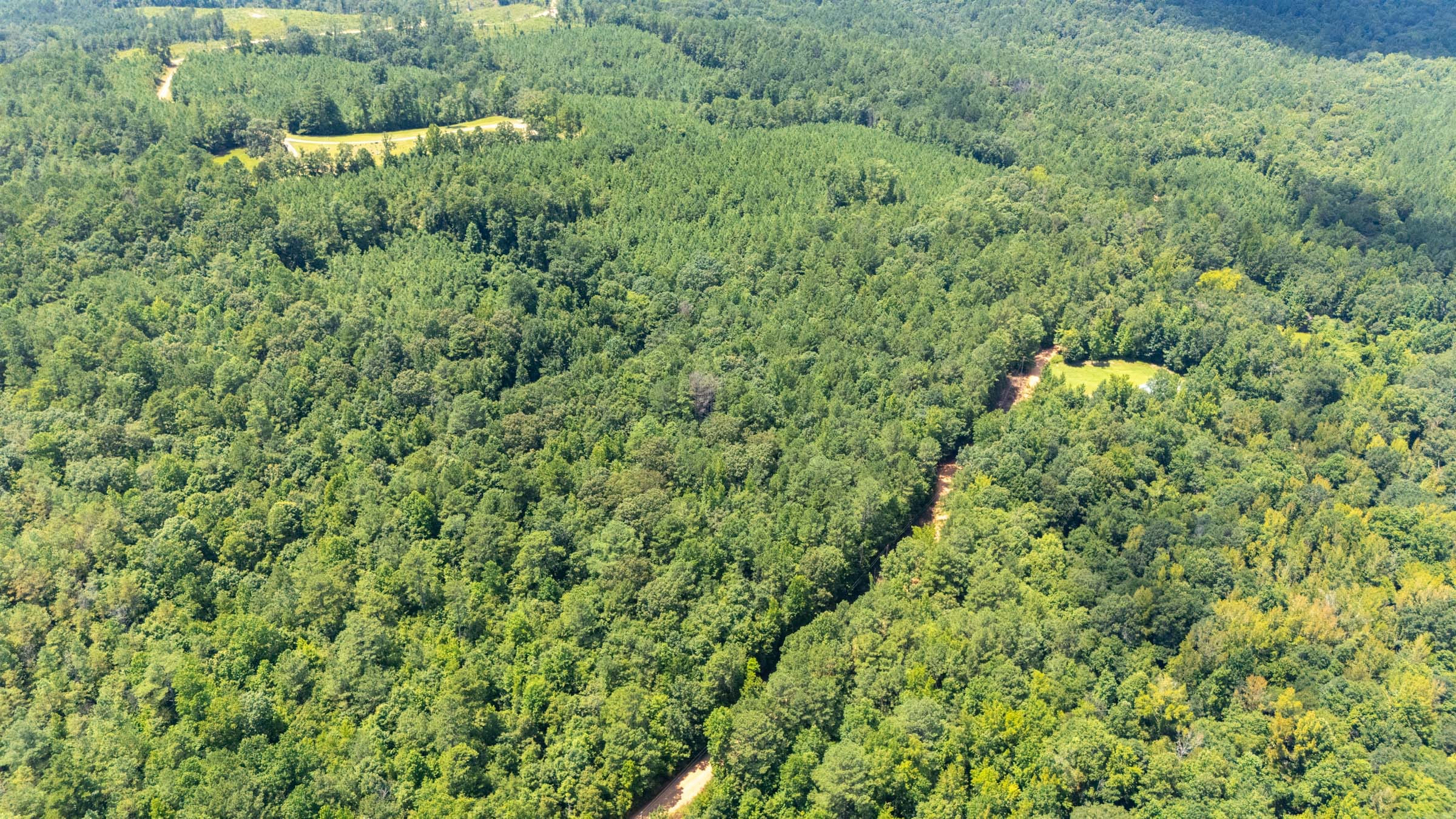 Olive Hill Tract 5 photo 2