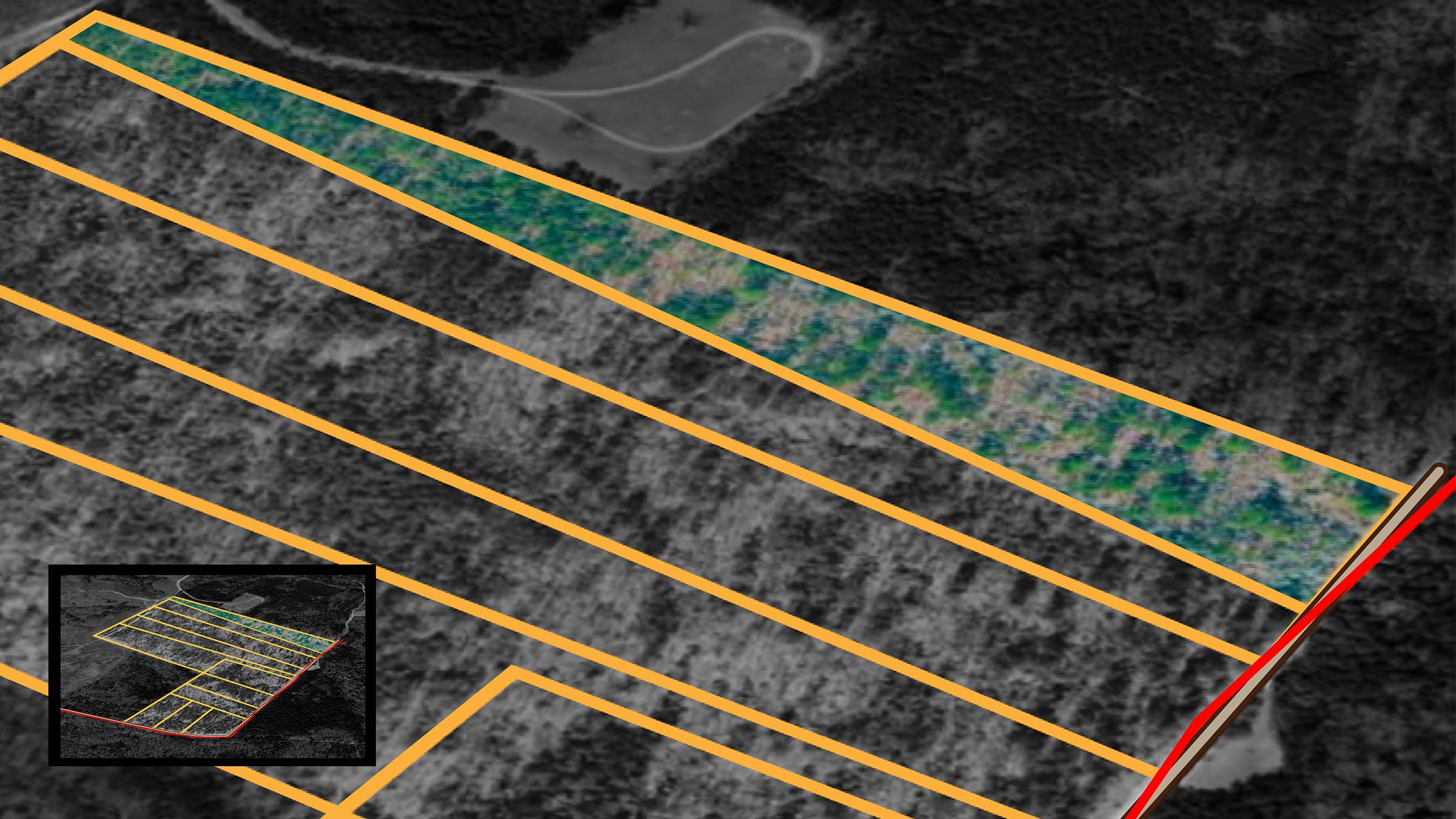 Olive Hill Tract 11 photo 1
