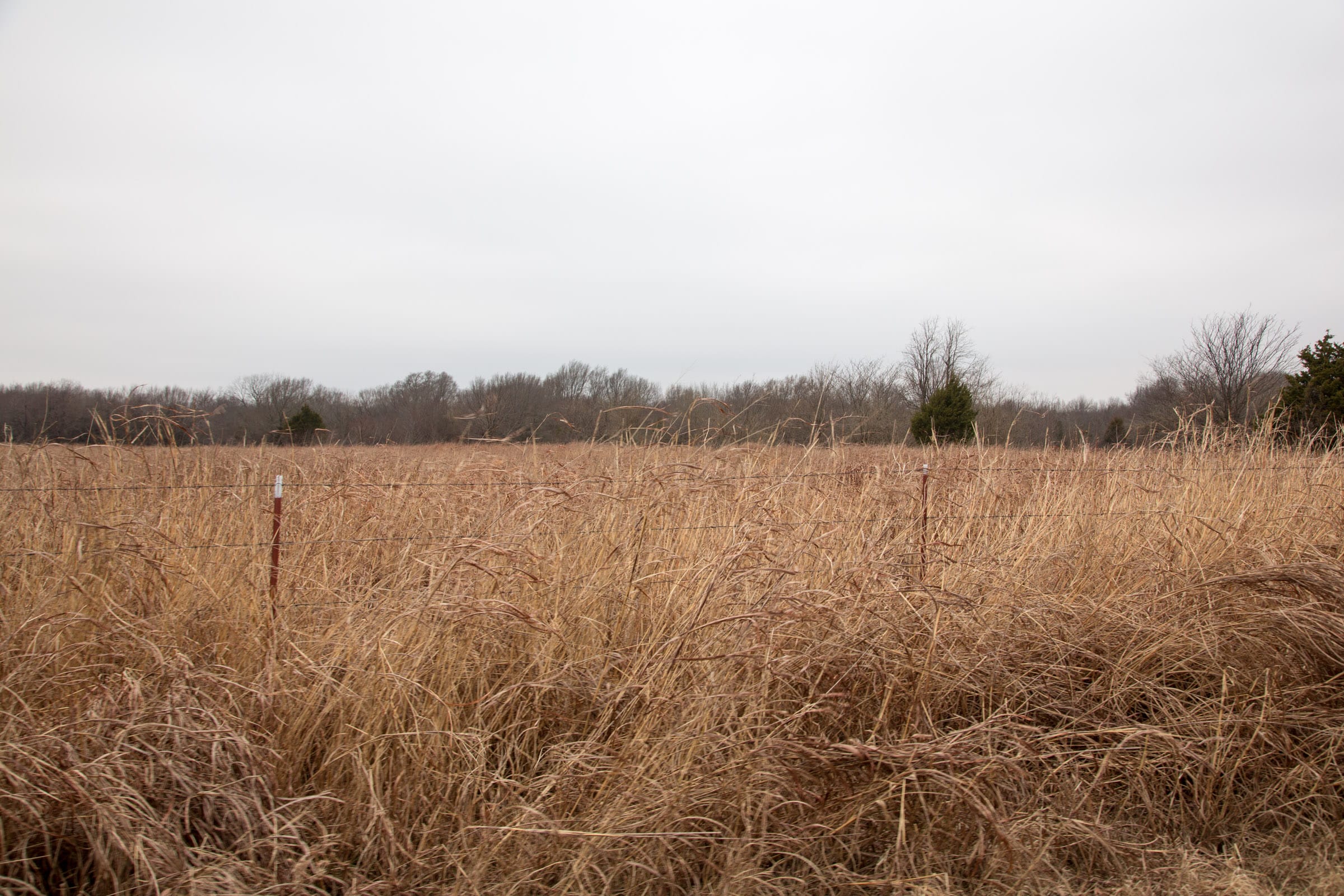 Canadian Plains Tract 18 photo 2