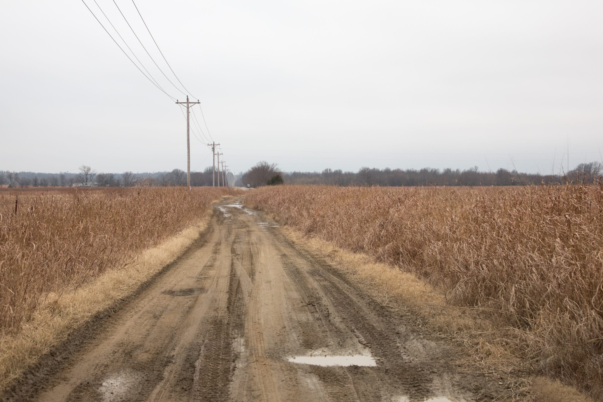Canadian Plains Tract 18 photo 1
