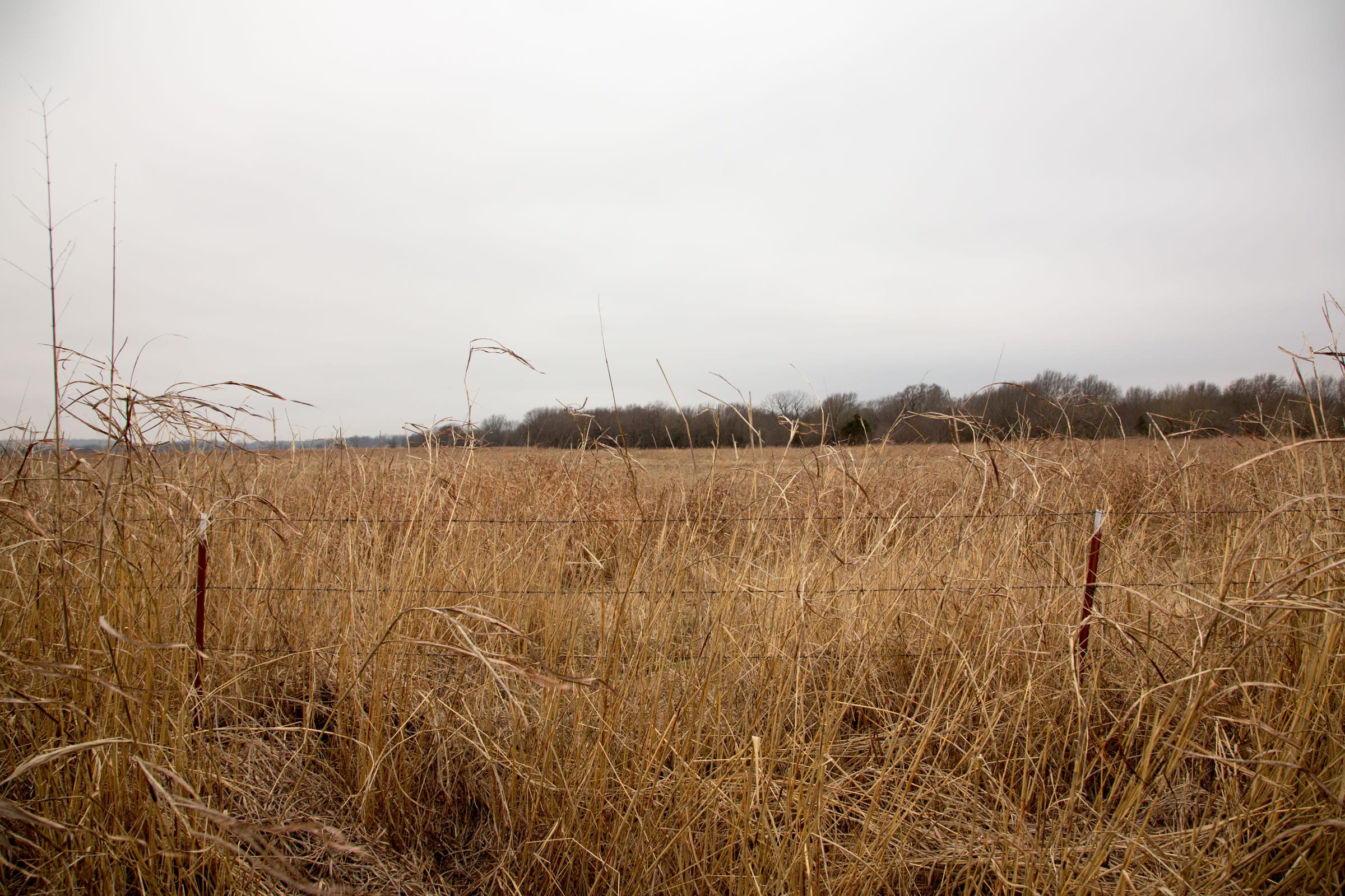 Canadian Plains Tract 18 photo 3