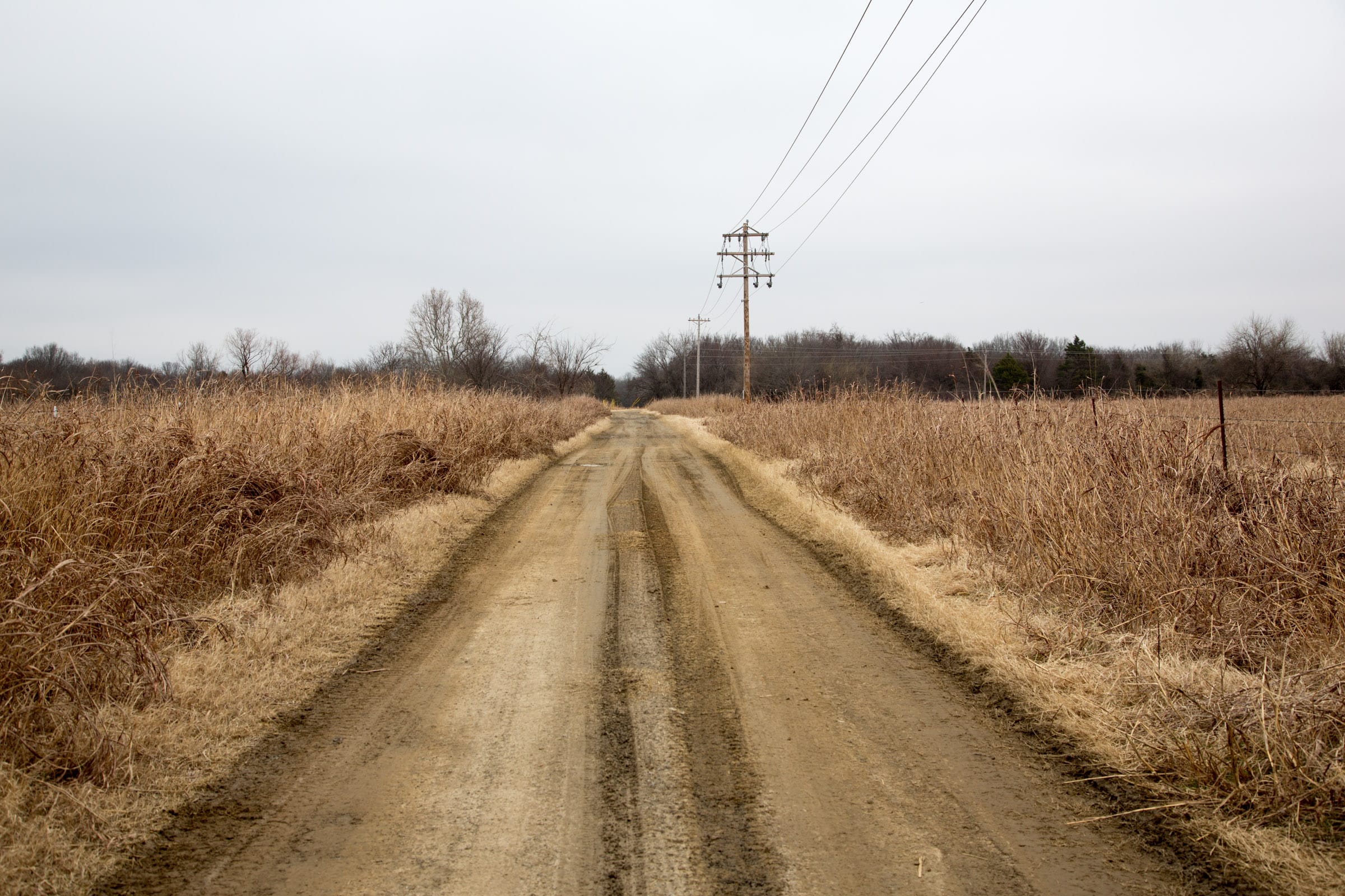Canadian Plains Tract 18 photo 5