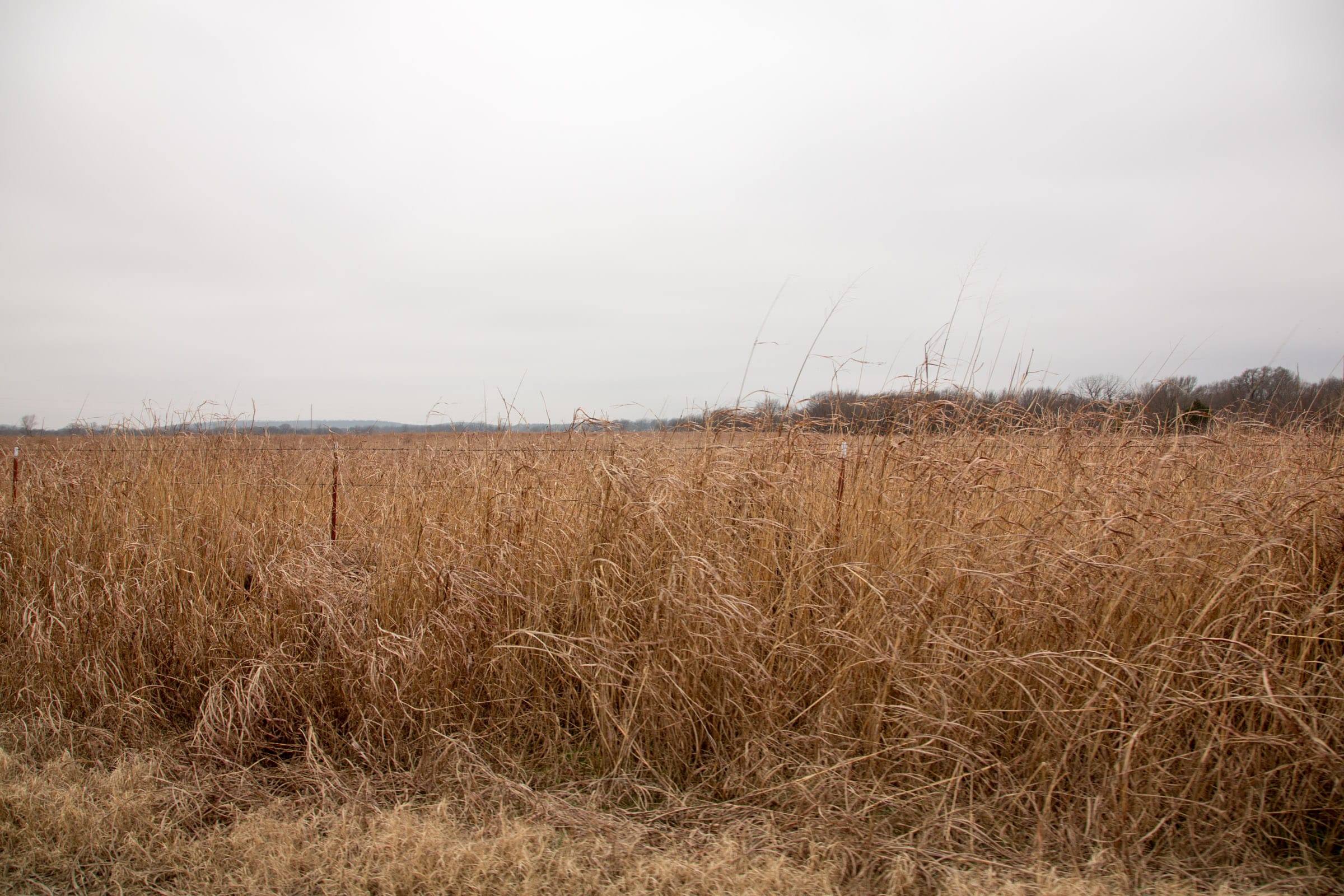 Canadian Plains Tract 18 photo 4
