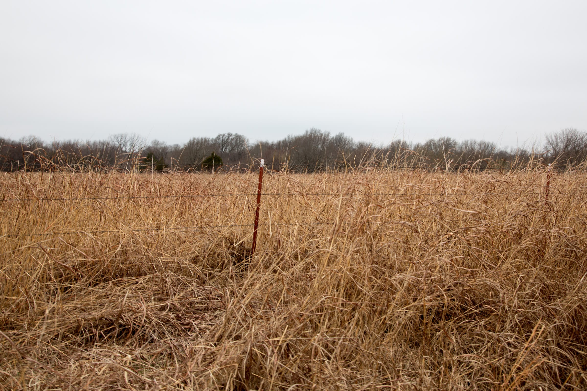Canadian Plains Tract 18 photo 6