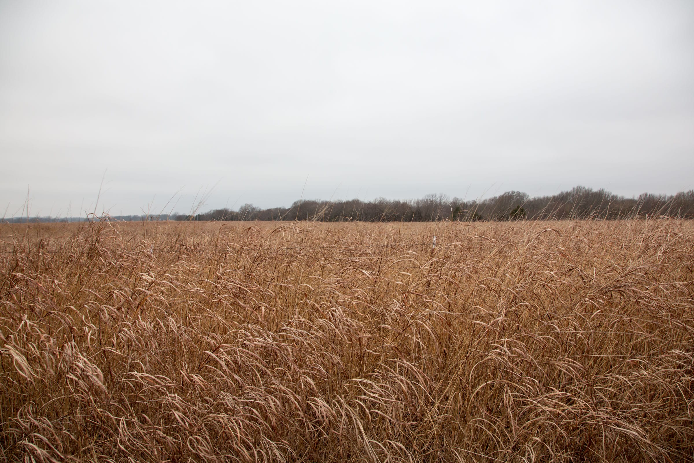 Canadian Plains Tract 18 photo 7