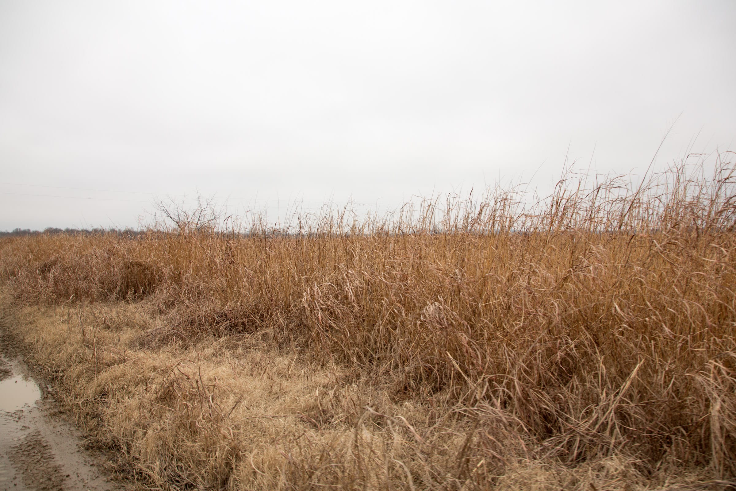 Canadian Plains Tract 18 photo 8