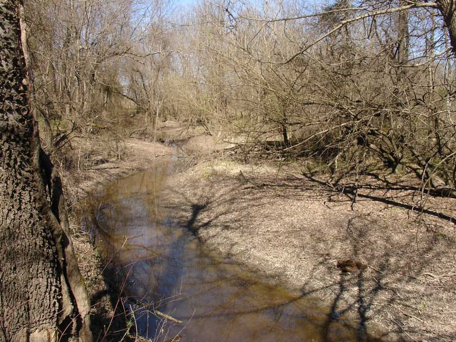 Red River Ranch Tract 13 photo 3