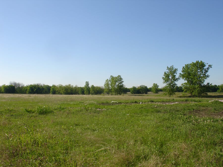 Red River Ranch Tract 13 photo 4