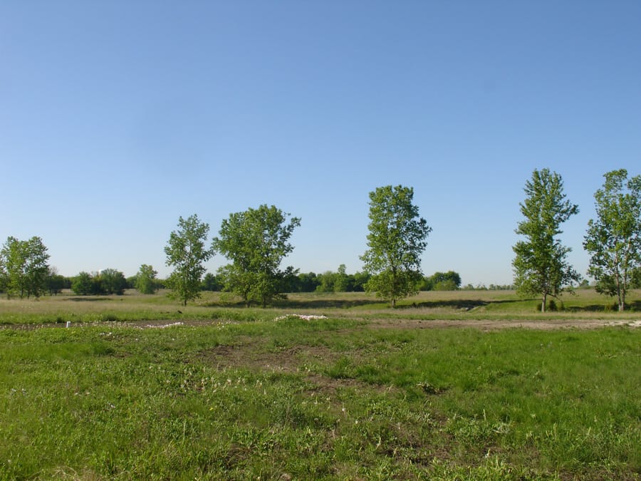 Red River Ranch Tract 13 photo 5