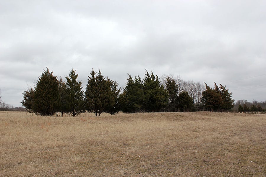 Red River Ranch Tract 13 photo 9