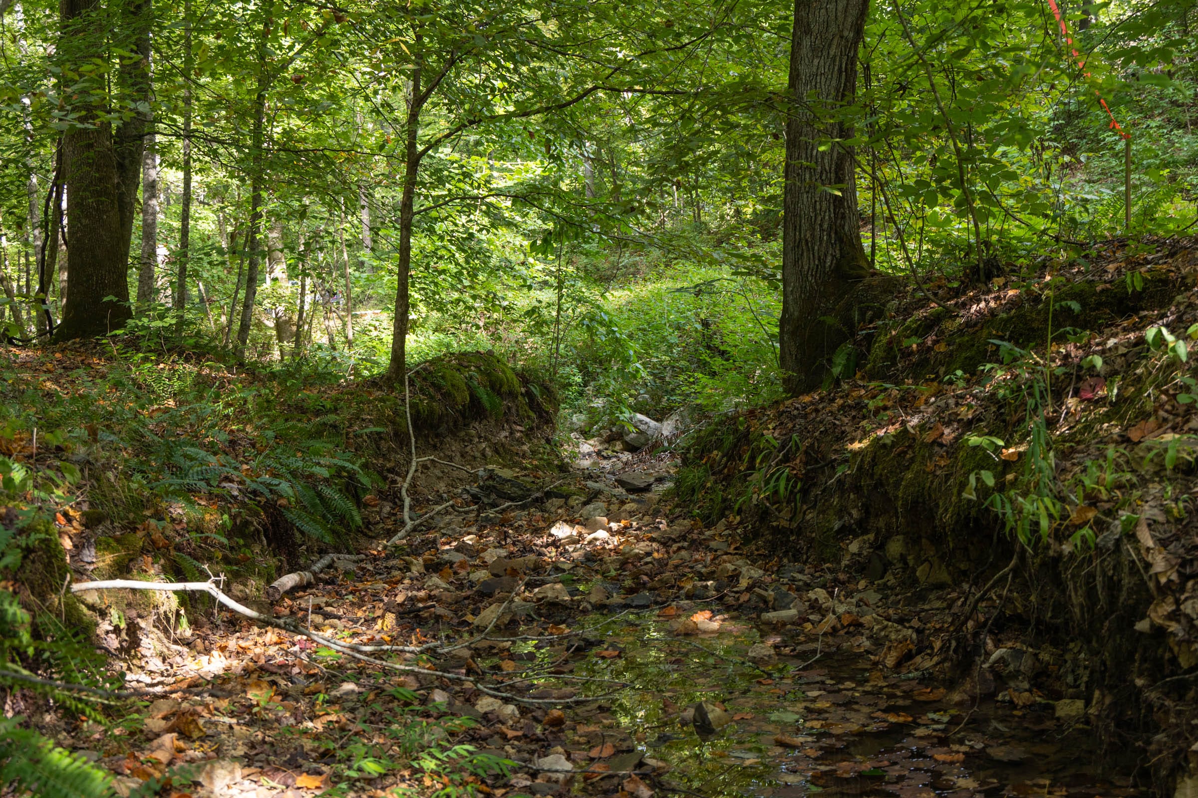 Big White Oak Tract 22 photo 11