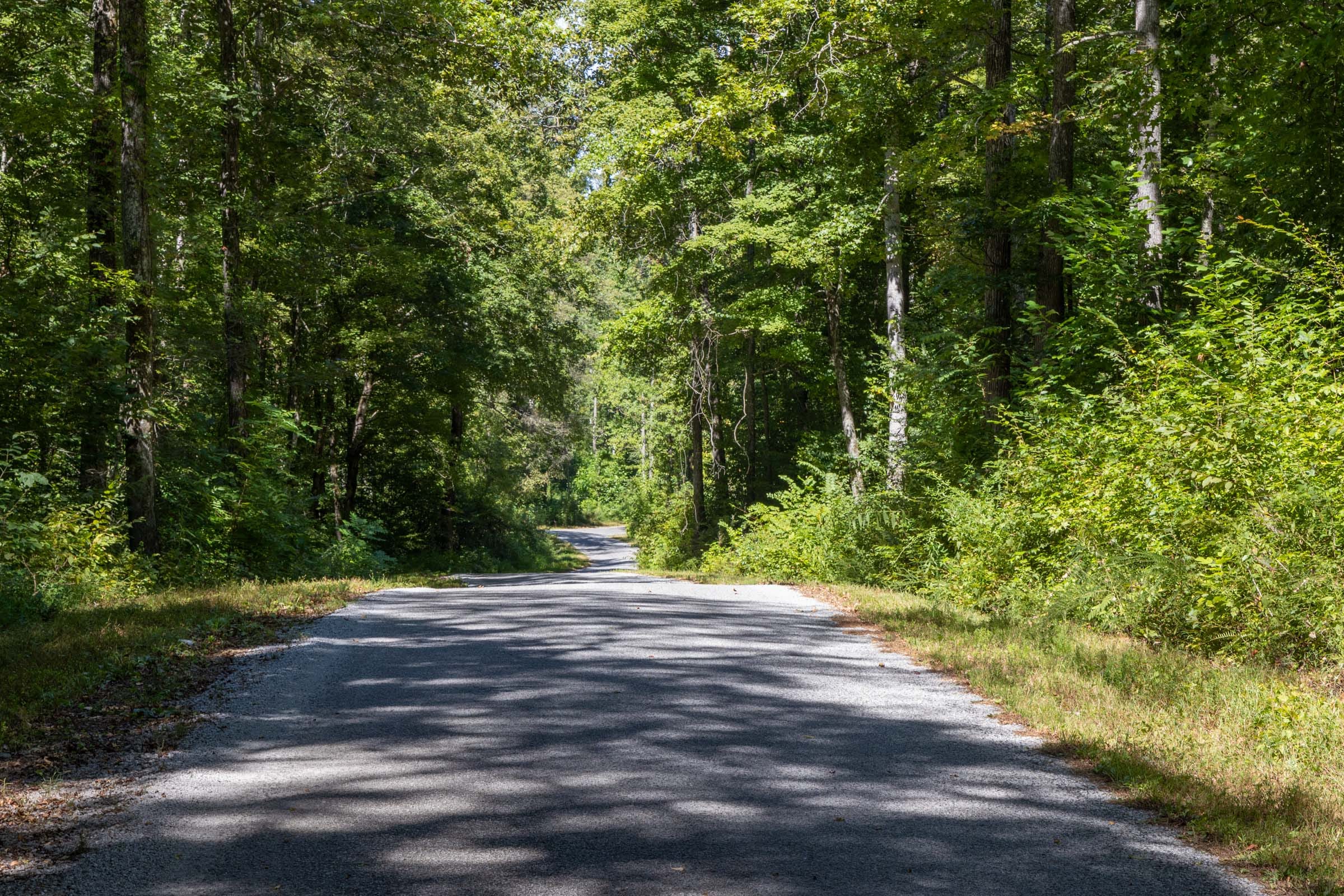 Big White Oak Tract 22 photo 9