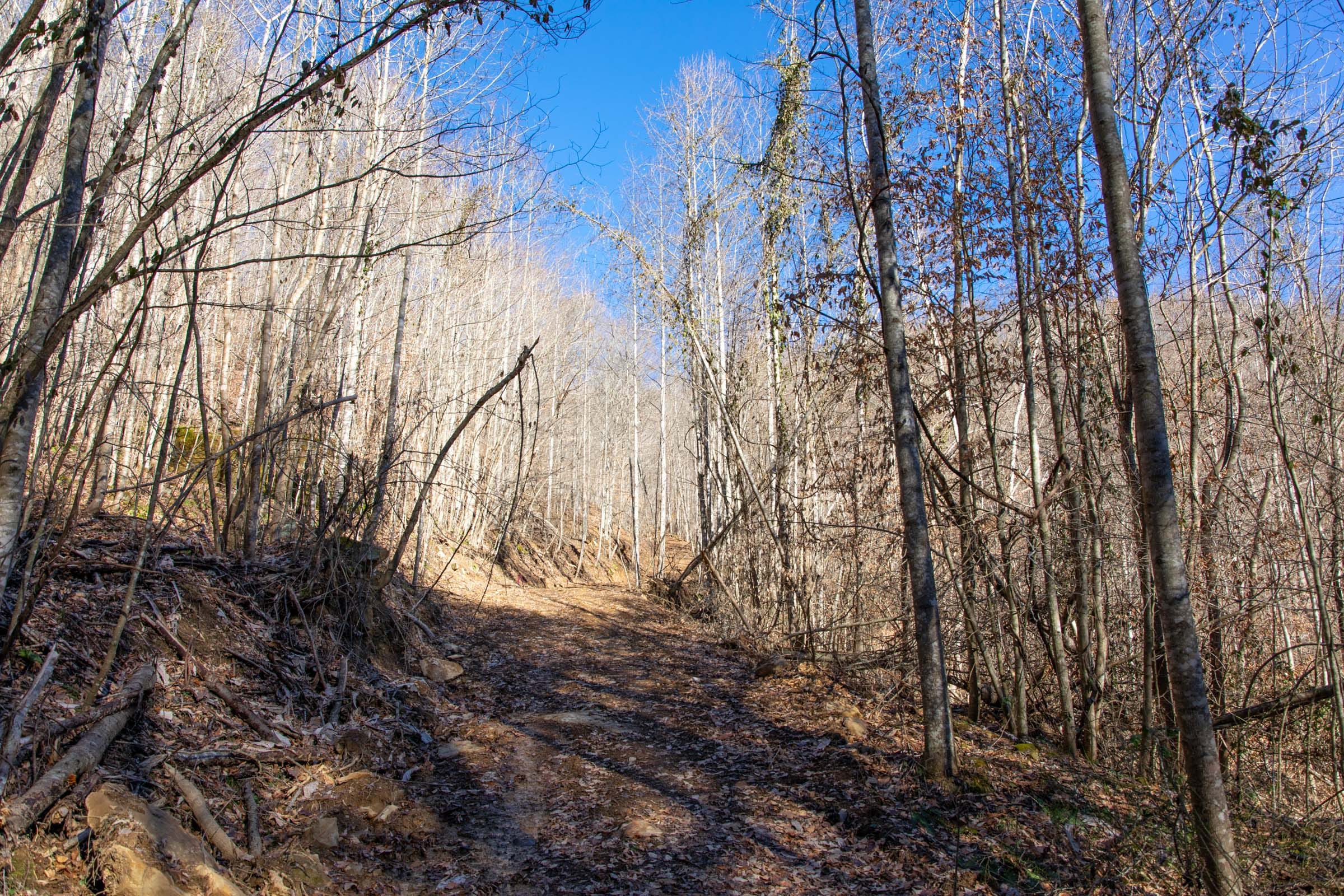 Blackstone Mountain Phase I Tract 17 photo 1