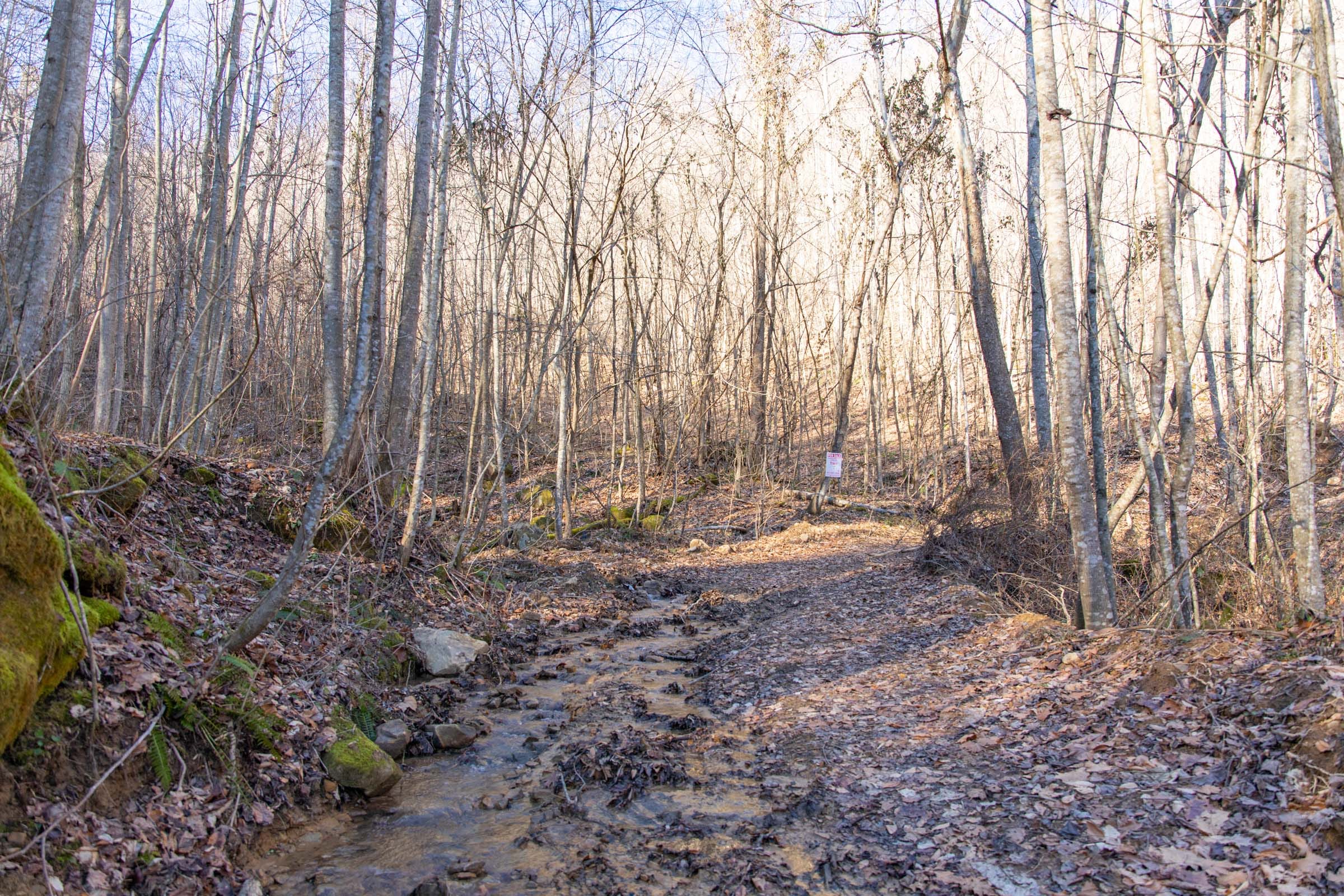 Blackstone Mountain Phase I Tract 17 photo 8