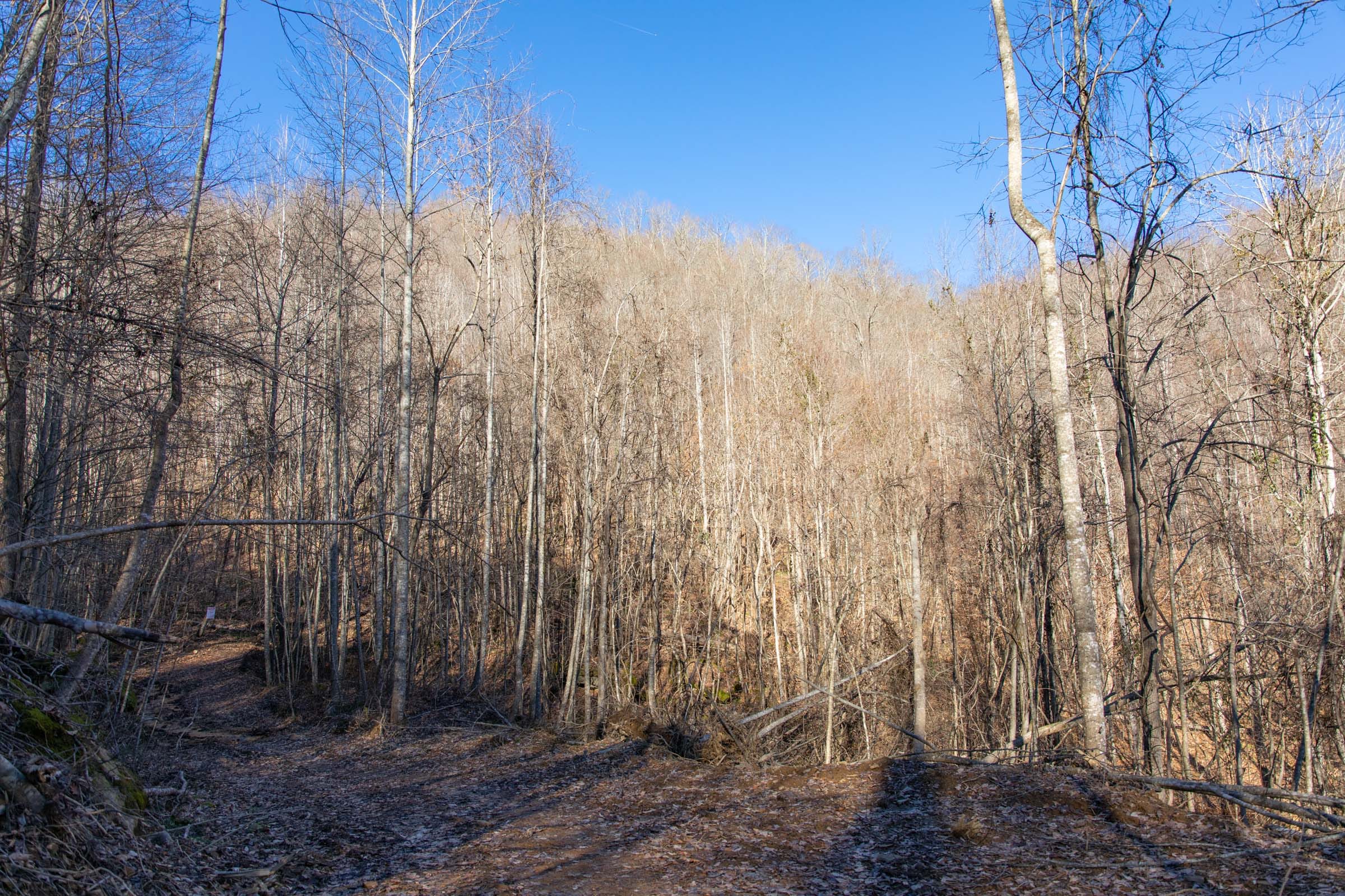 Blackstone Mountain Phase I Tract 17 photo 11