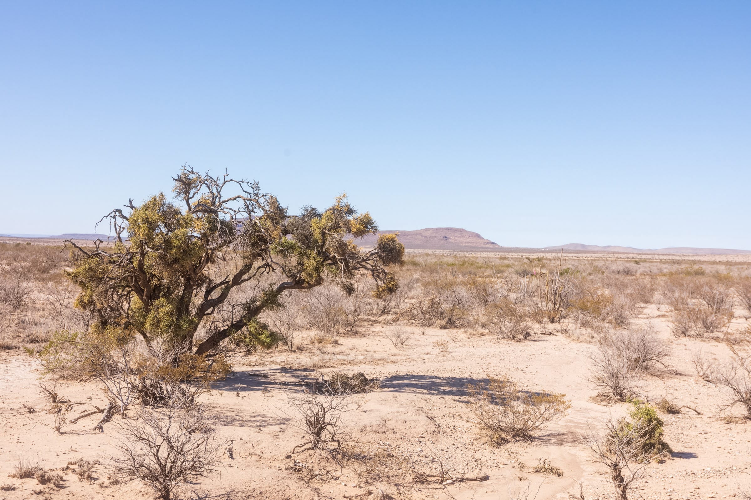 Sunrise Ranches Phase II Tract 30 photo 8