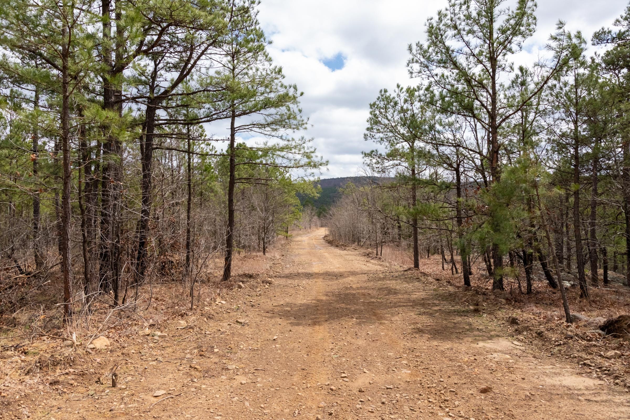 Stone Bridge Phase III Tract 213 photo 2