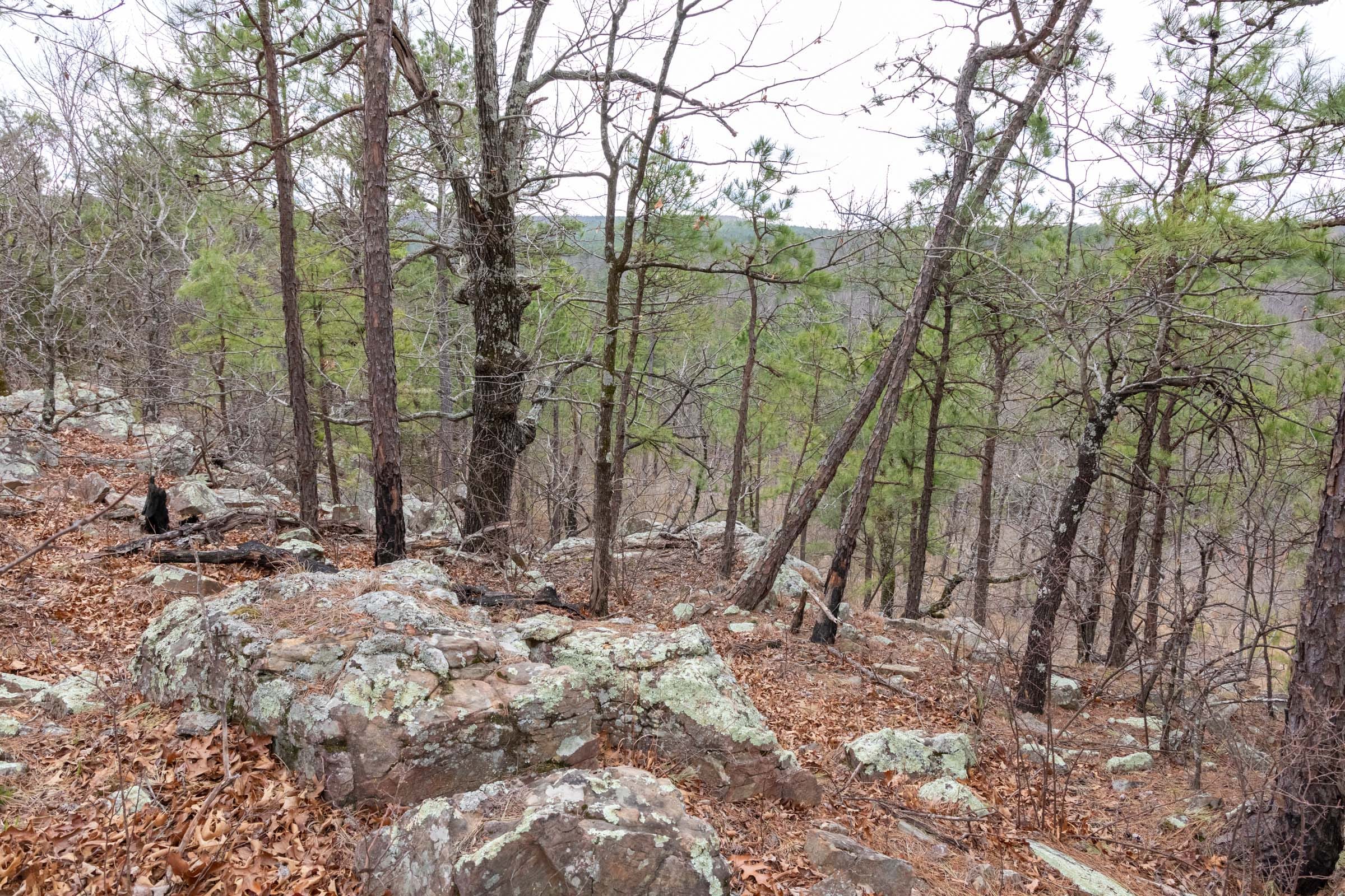 Stone Bridge Phase III Tract 213 photo 6