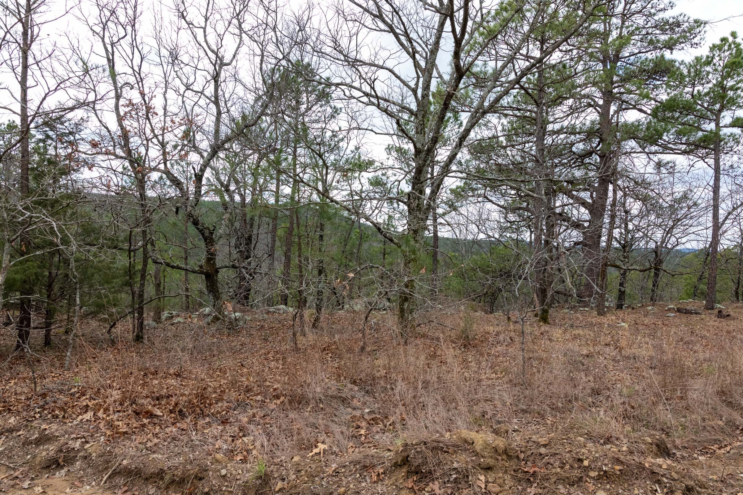 Stone Bridge Phase III Tract 213 photo 8