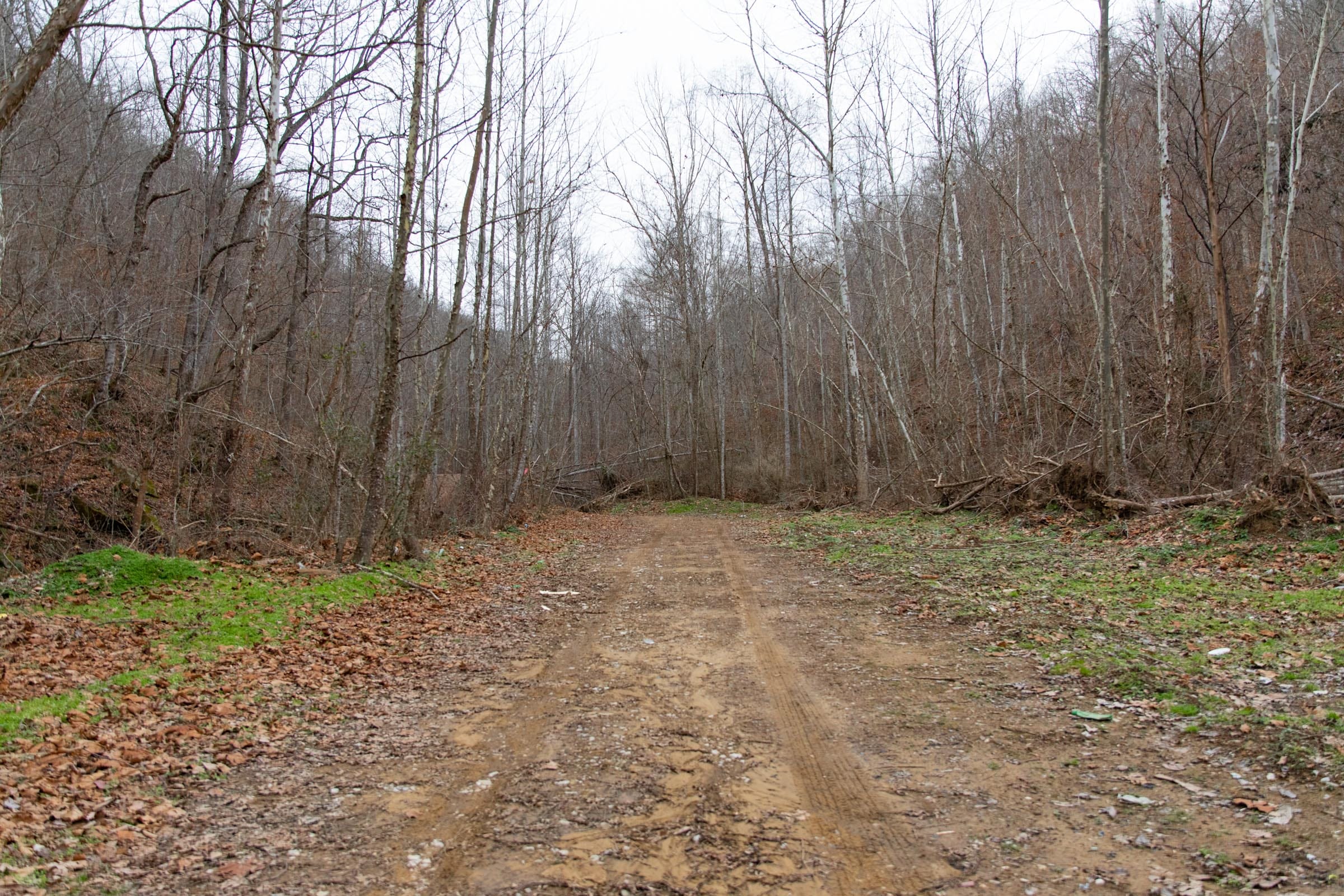 Blackstone Mountain Phase I Tract 40 photo 11