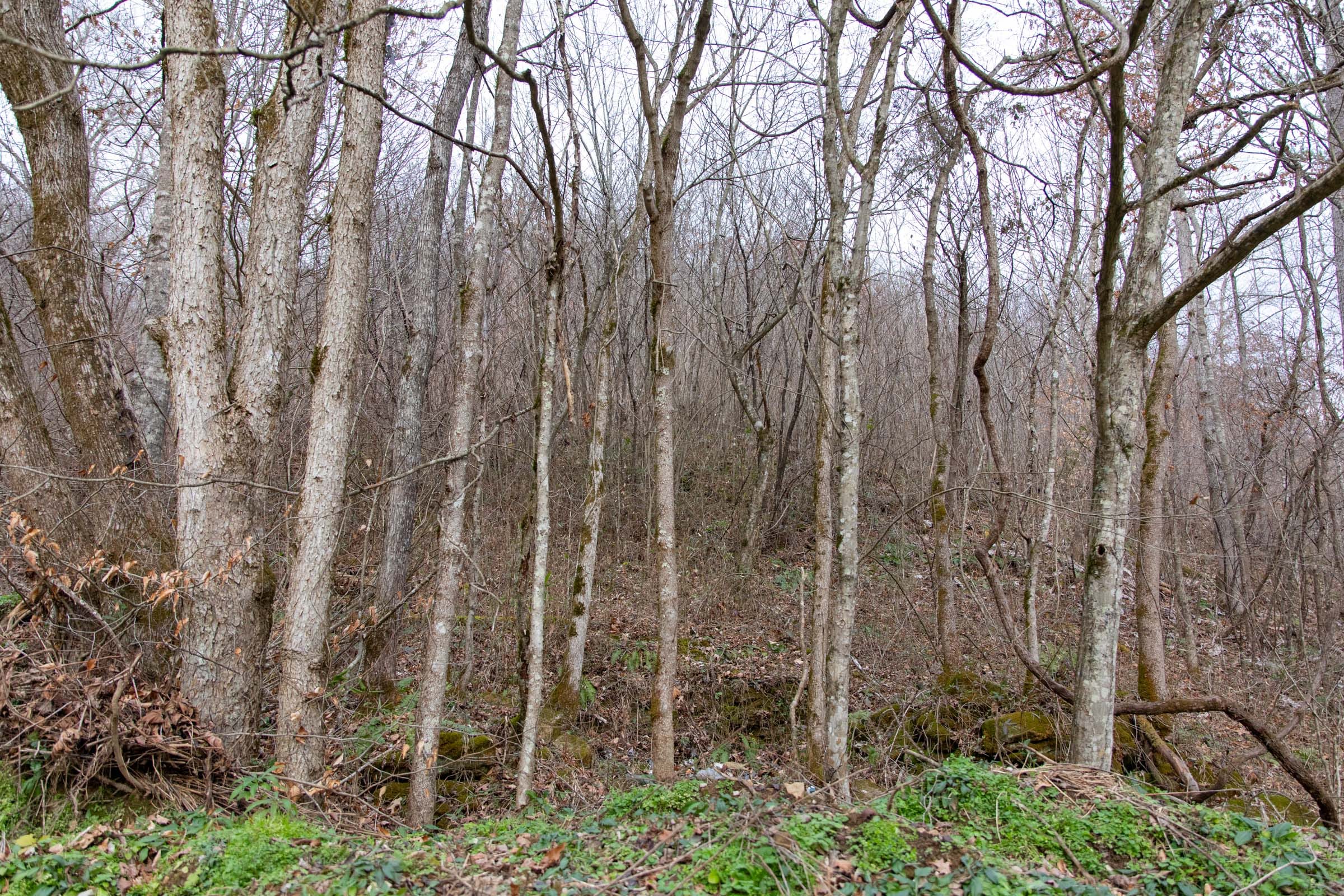 Blackstone Mountain Phase I Tract 40 photo 7