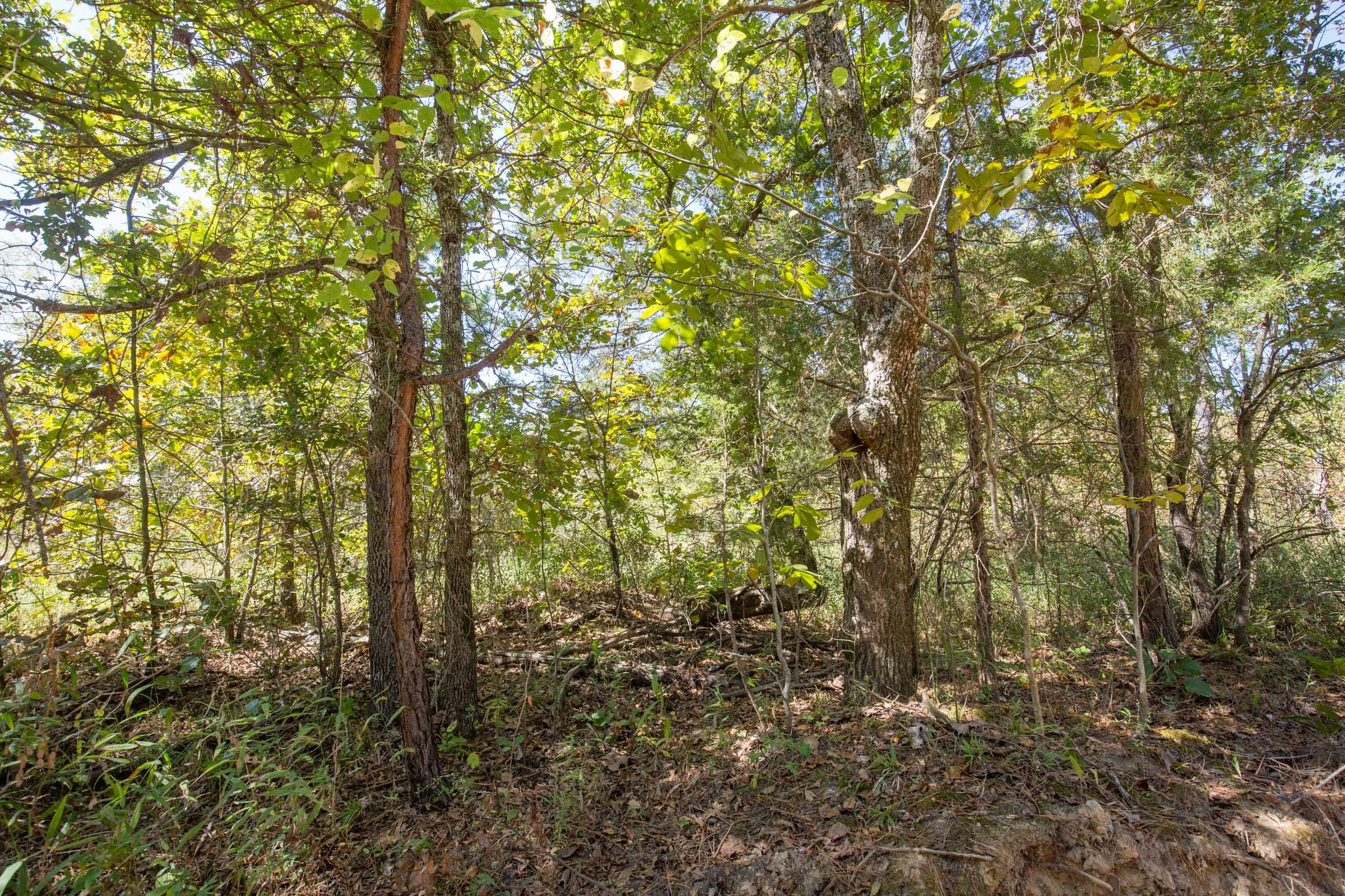 Stone Bridge Phase I Tract 25 photo 1