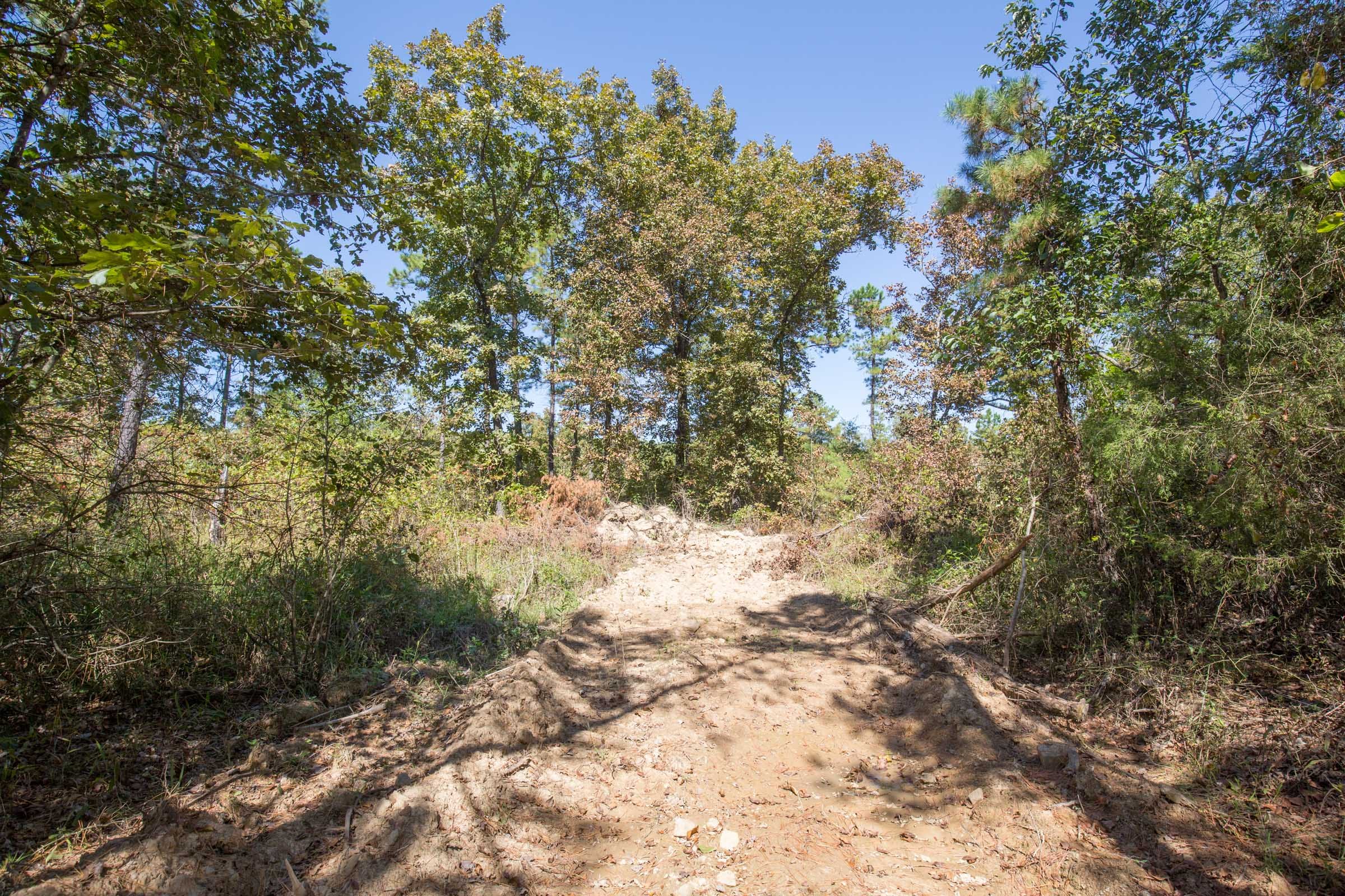 Stone Bridge Phase I Tract 25 photo 4
