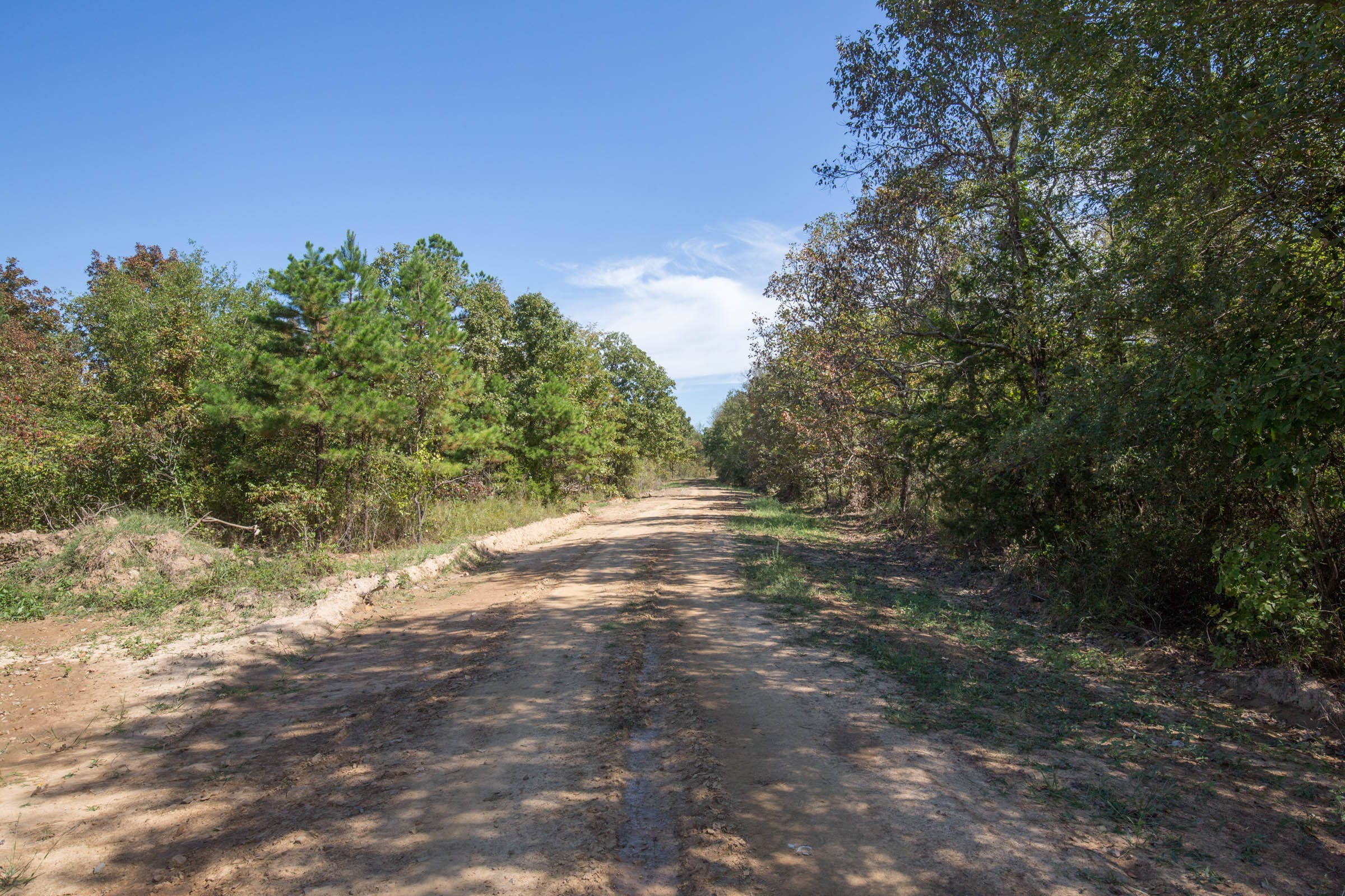 Stone Bridge Phase I Tract 25 photo 5
