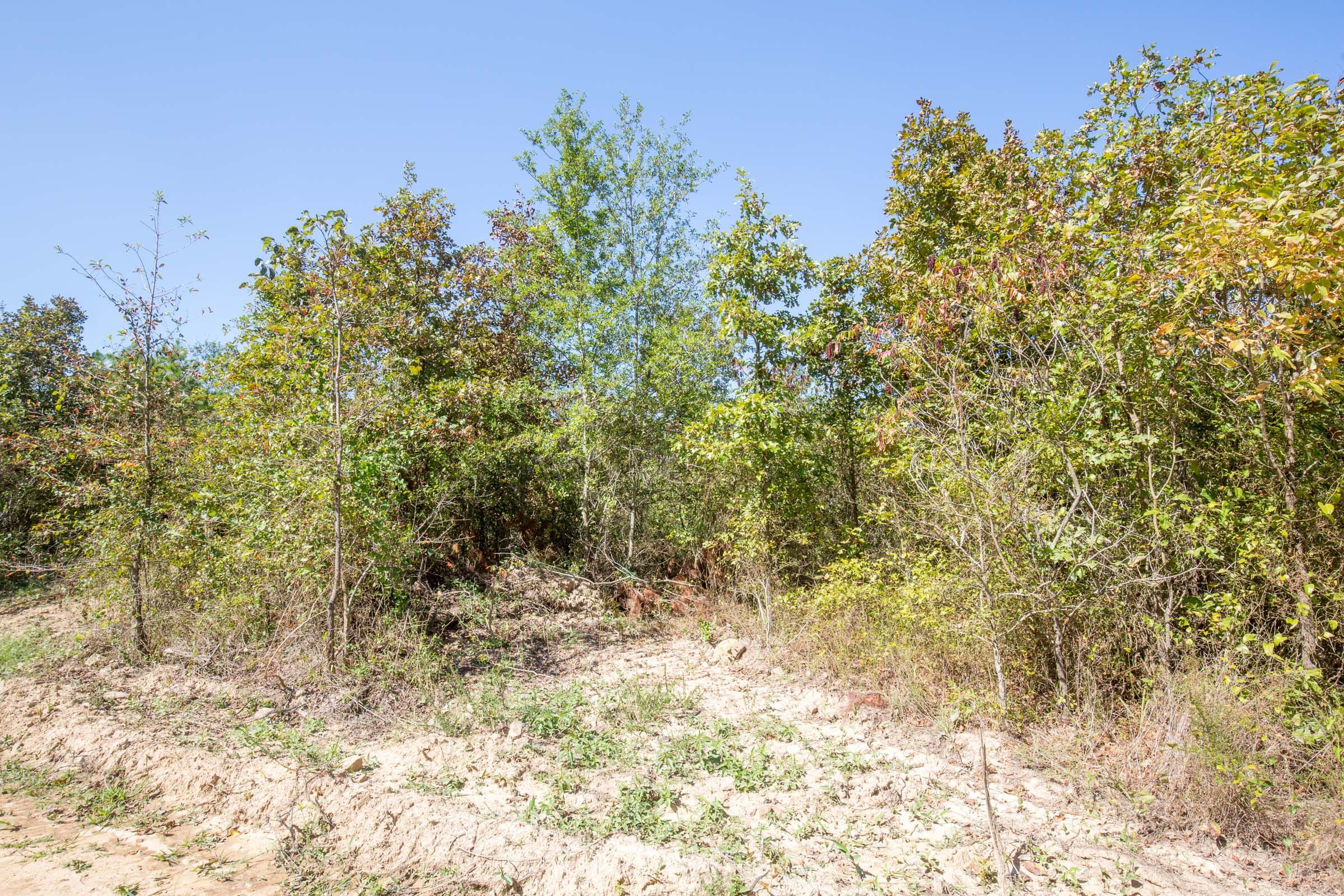 Stone Bridge Phase I Tract 25 photo 7