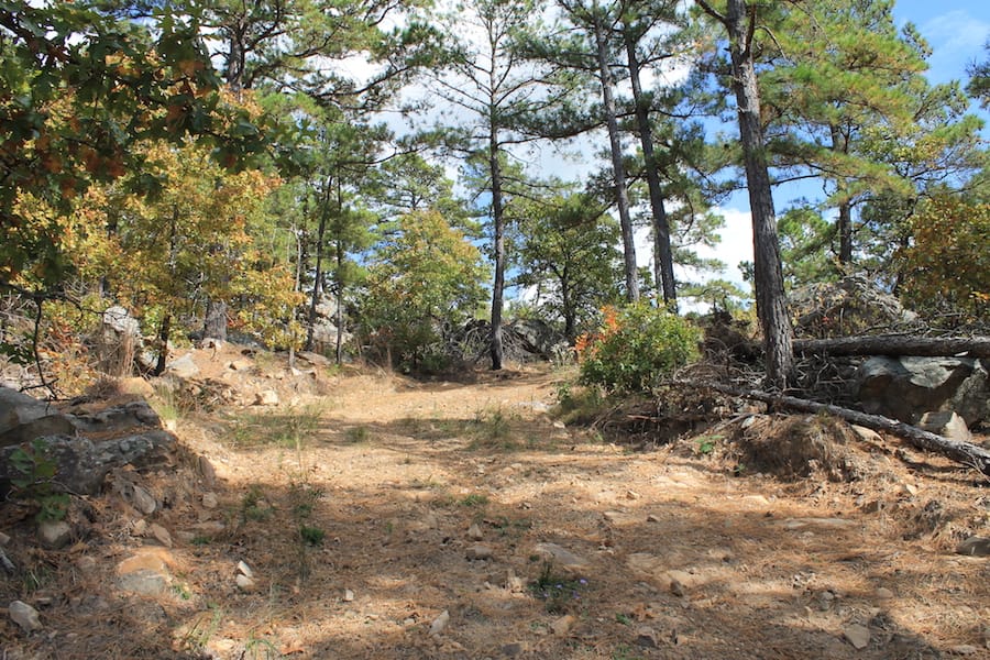 Indian Ridge – Phase III Tract 102 photo 2