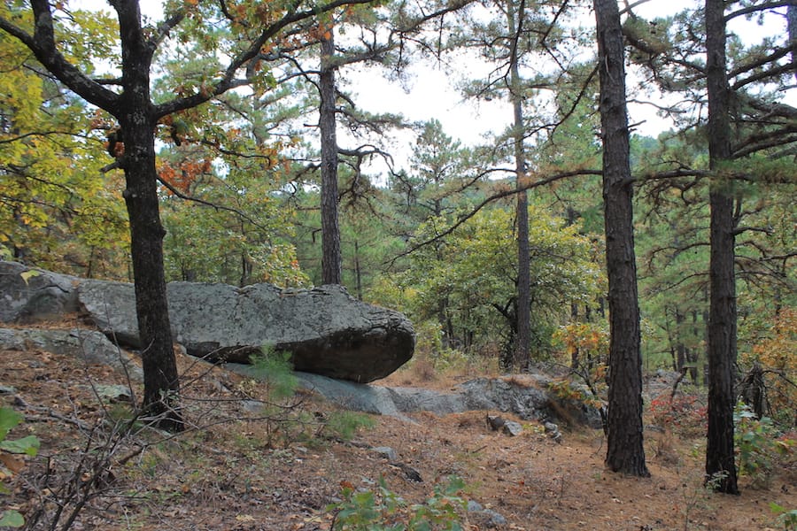 Indian Ridge – Phase III Tract 102 photo 4