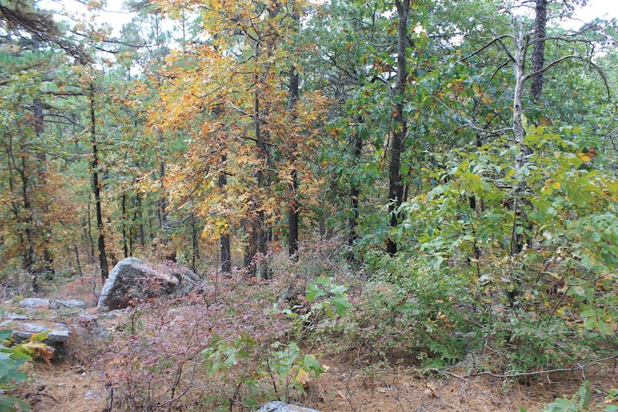 Indian Ridge – Phase III Tract 102 photo 5