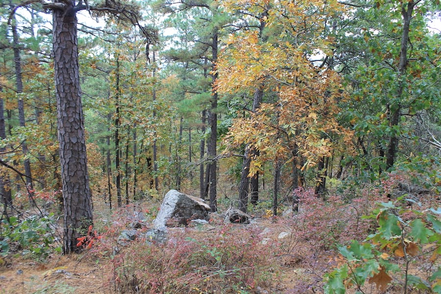 Indian Ridge – Phase III Tract 102 photo 6